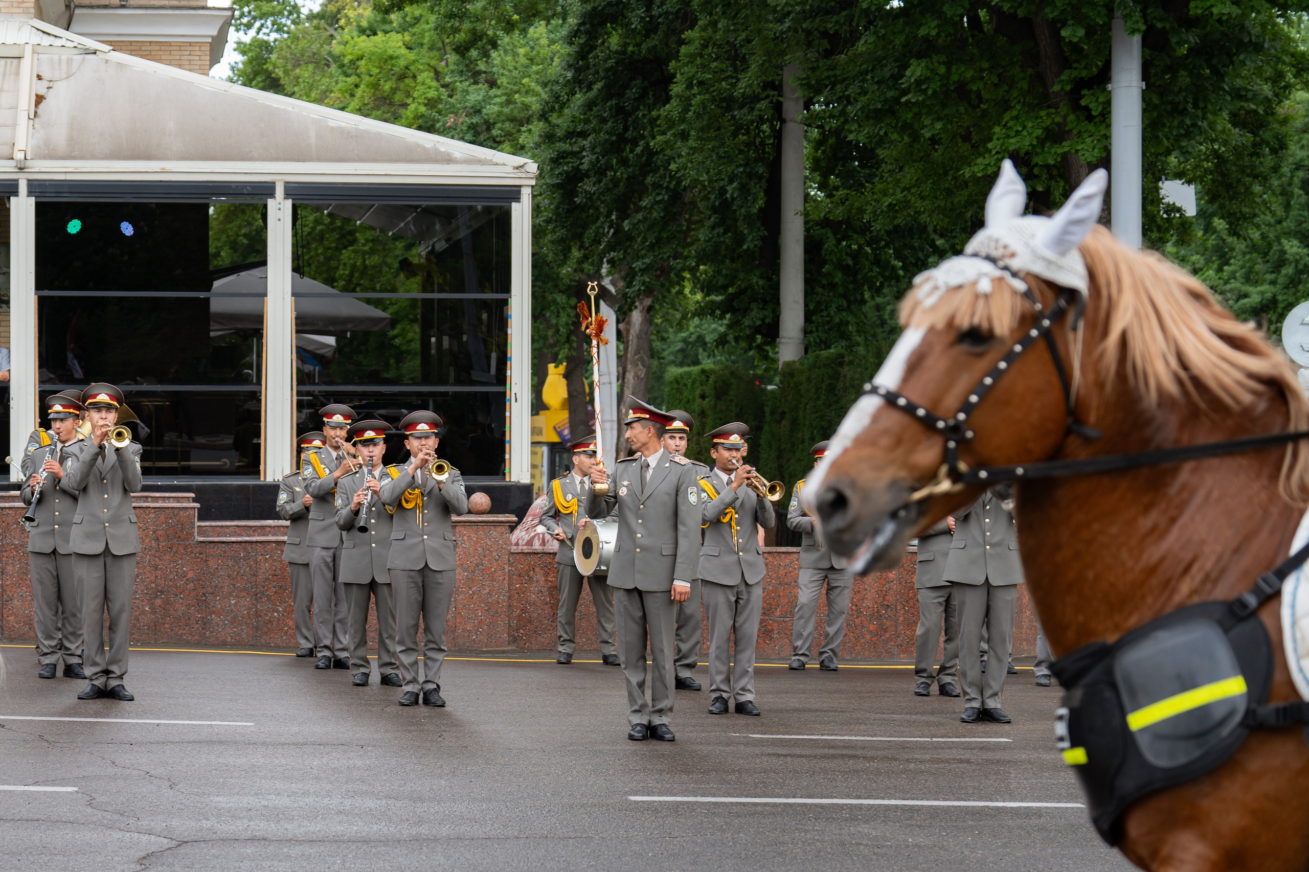 Конный парад в Ташкенте. Георгий Намазов | Фотограф в Ташкенте
