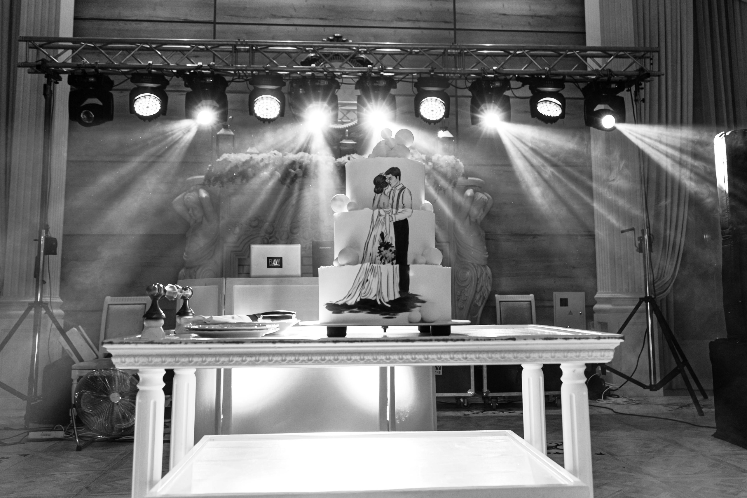 Grand Elisee - Dan & Liliana. LuxArt - Servicii foto video