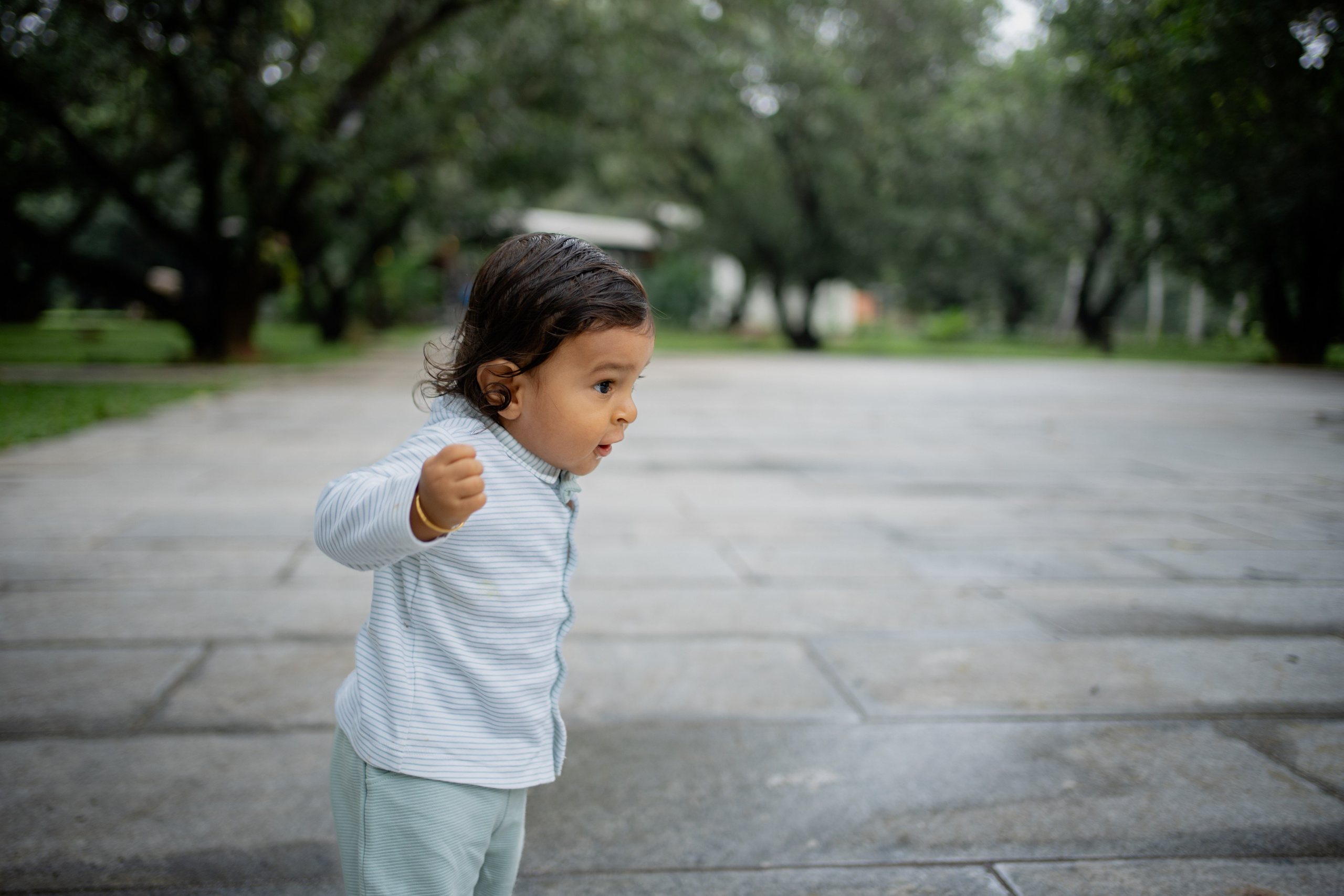 Theesan Raavanan. Menu