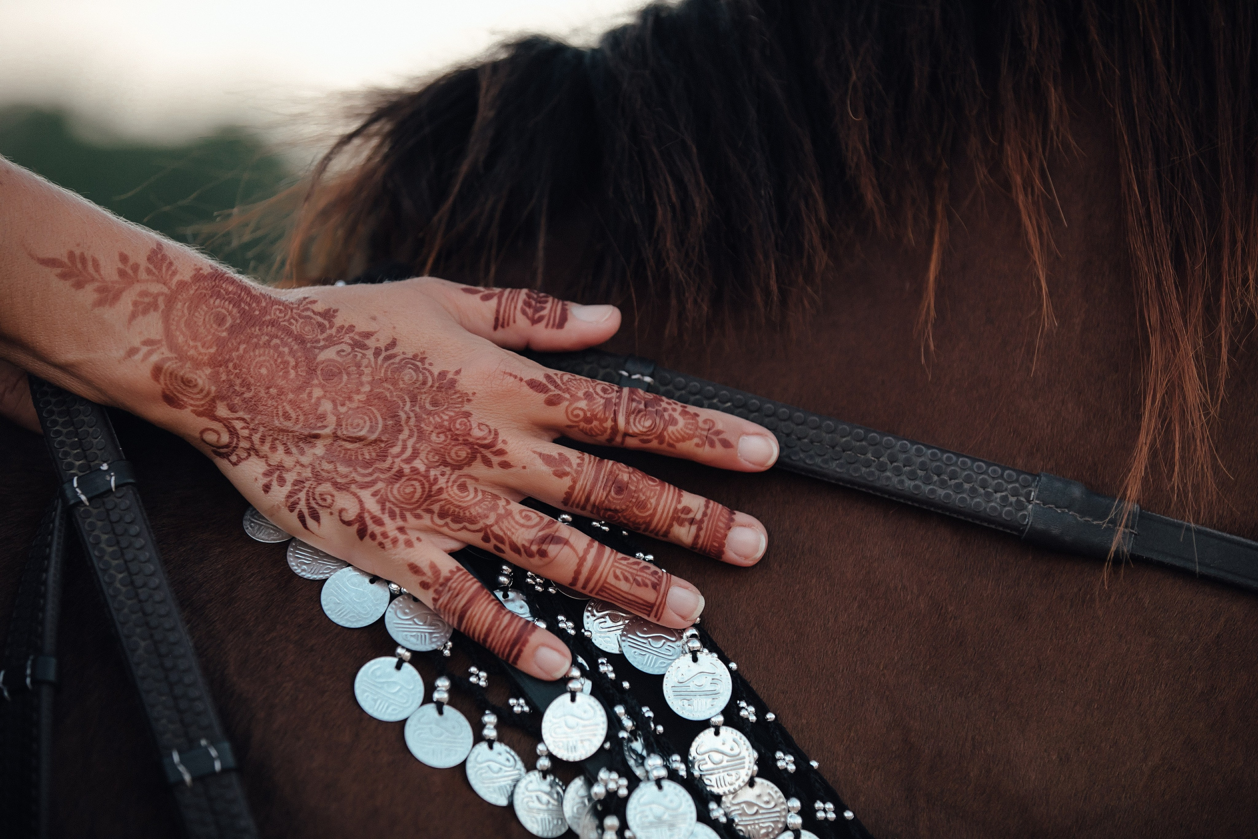Karina. Arabic inspiration. Портретний та весільний фотограф Надія Онода