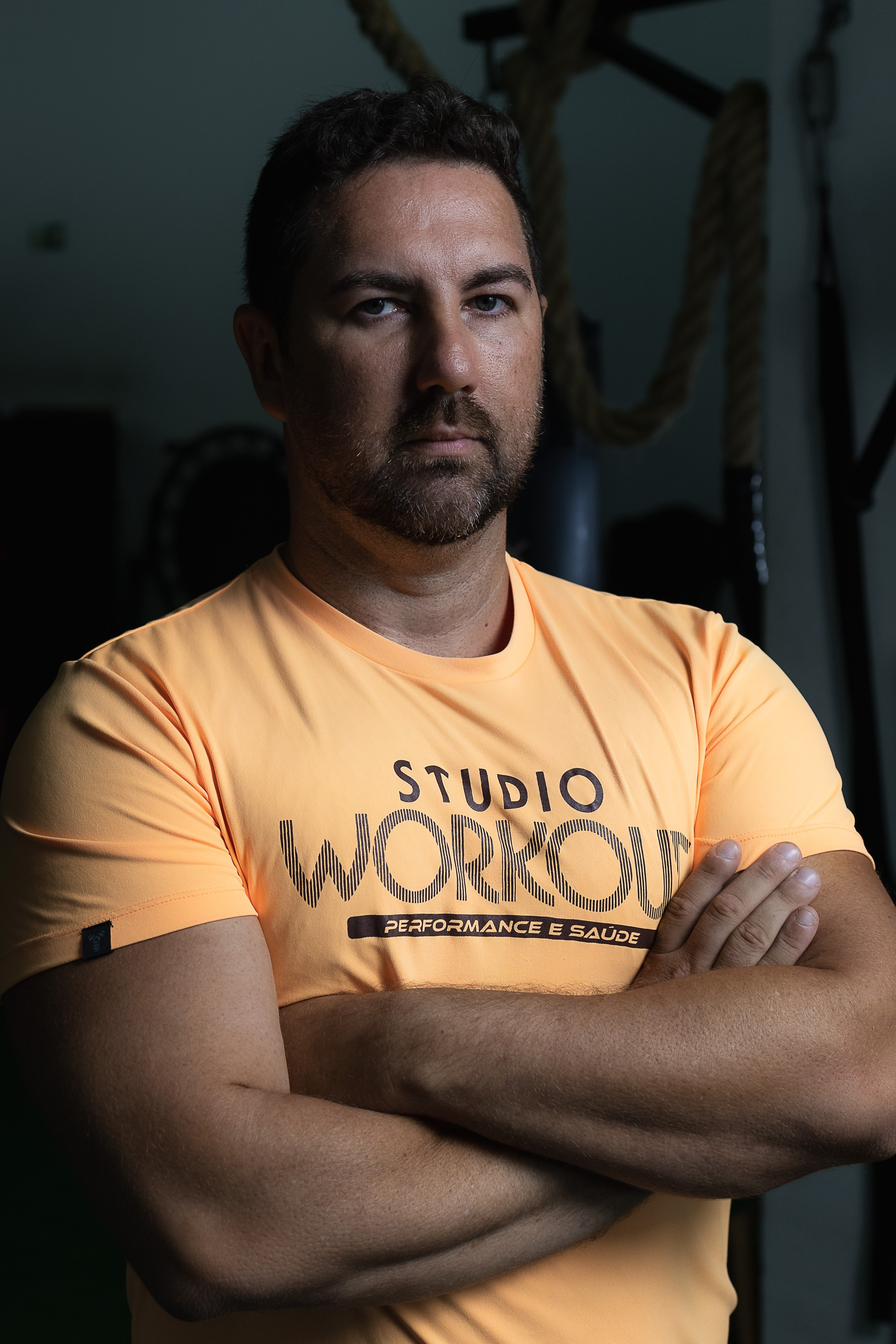 Ensaios. Fernando Giopato