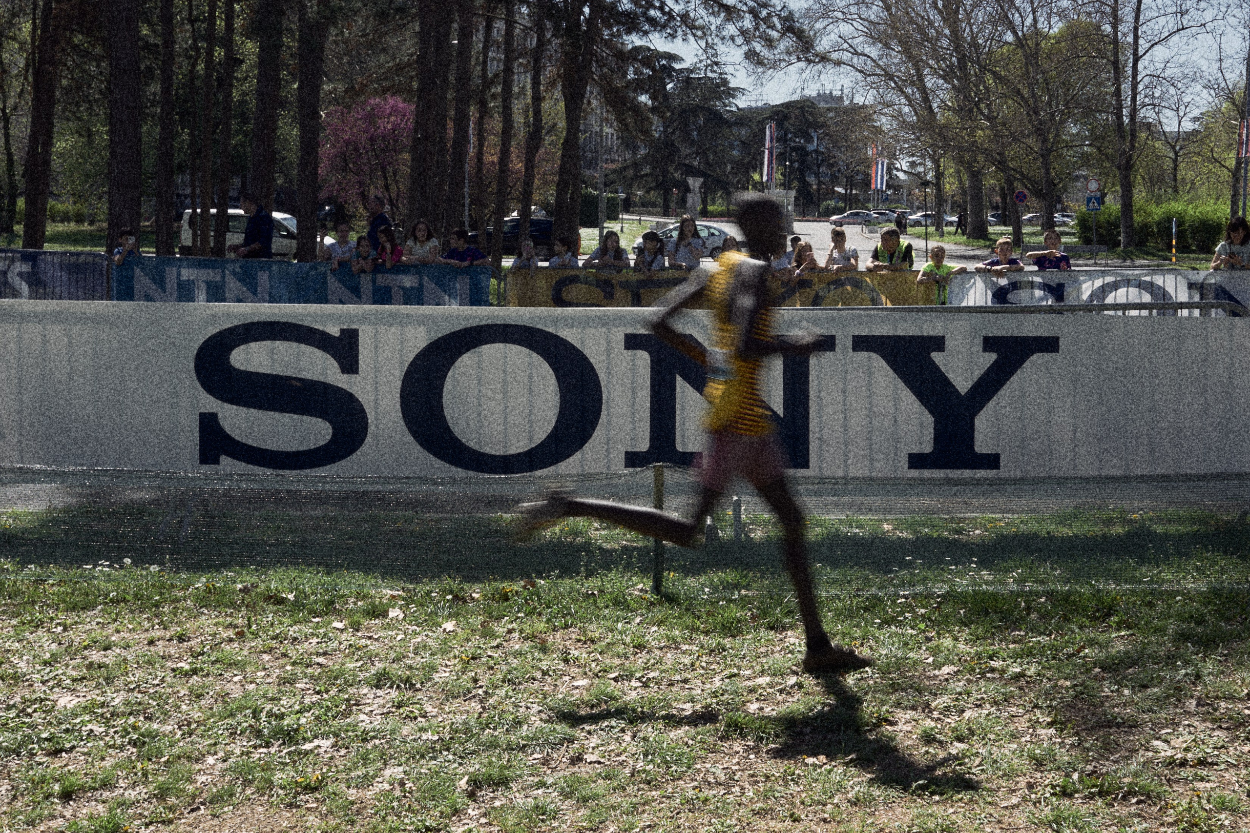 Cross Country Championship 2024 #running. Photographer Evgeniya Dovgalyuk