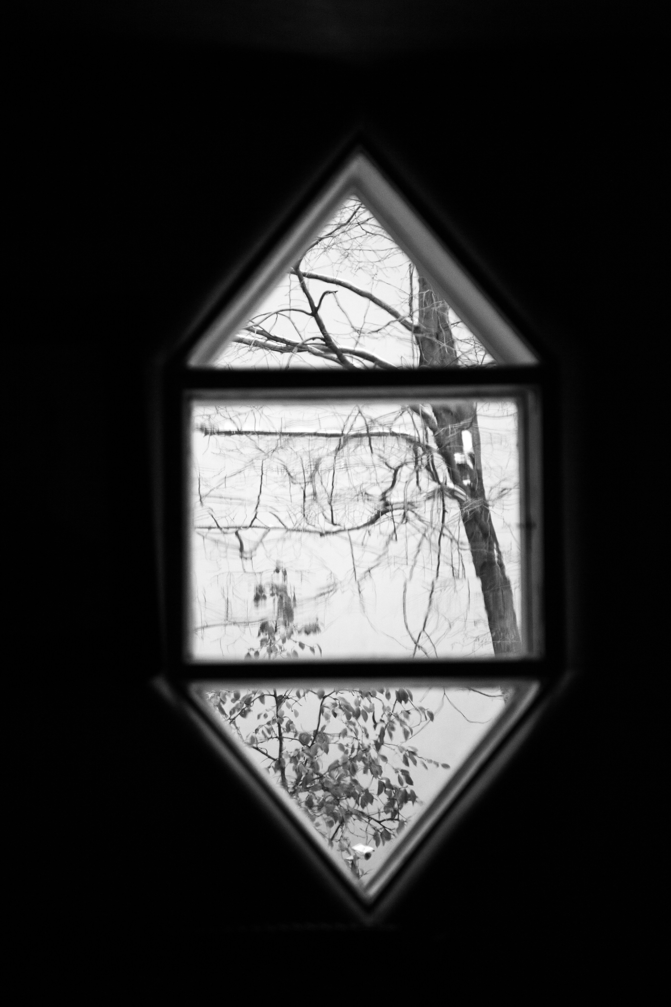 Melnikow-Haus in Moskau. Maria Chistyakovа — Fotografin in Karlsruhe, Baden-Baden und Umgebung