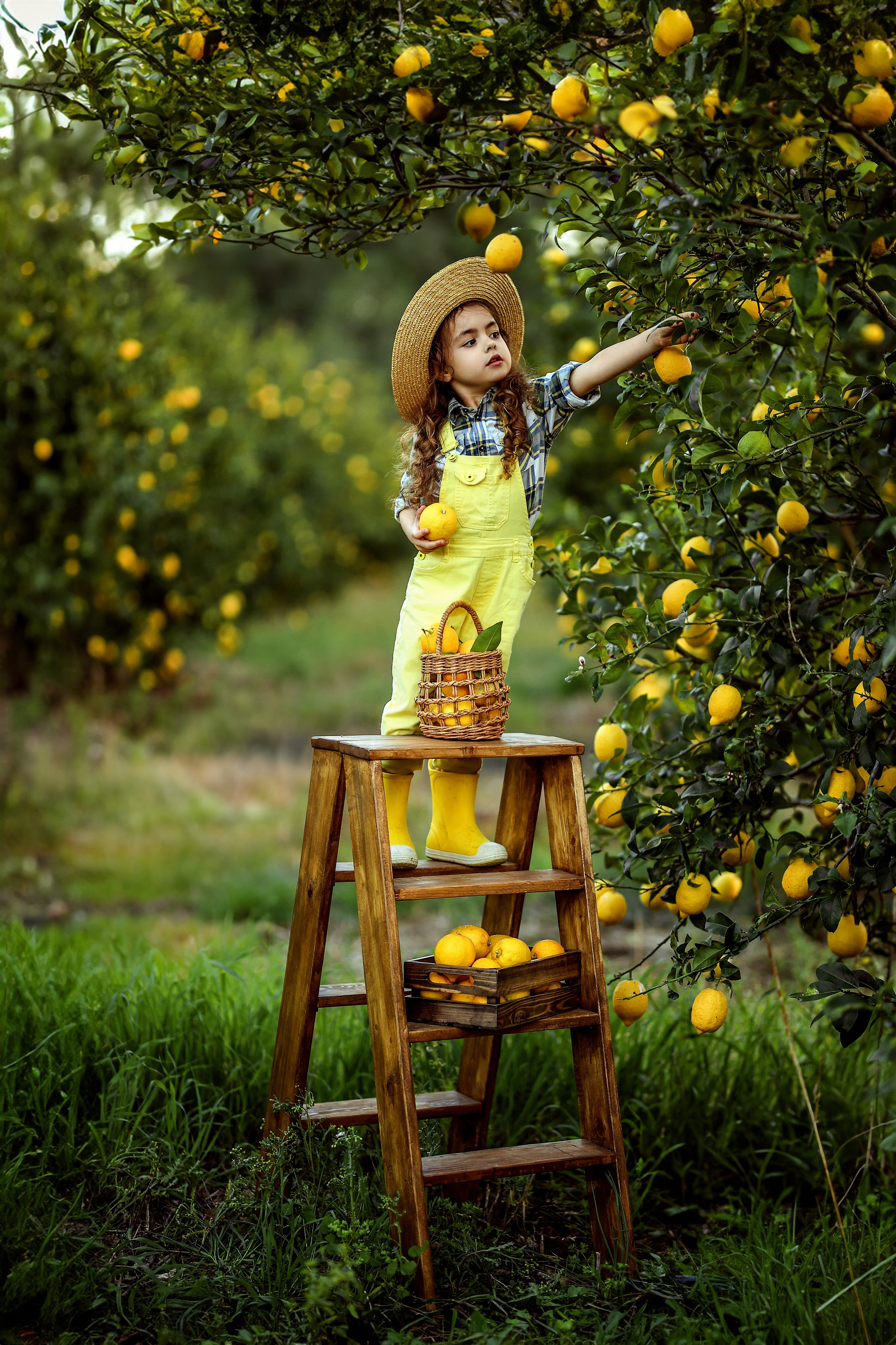 Фотосессия в лимонах. Фотограф в Турции, Анталии, Кемере, Белеке, Сиде, Каше, Калкане, Фетхие