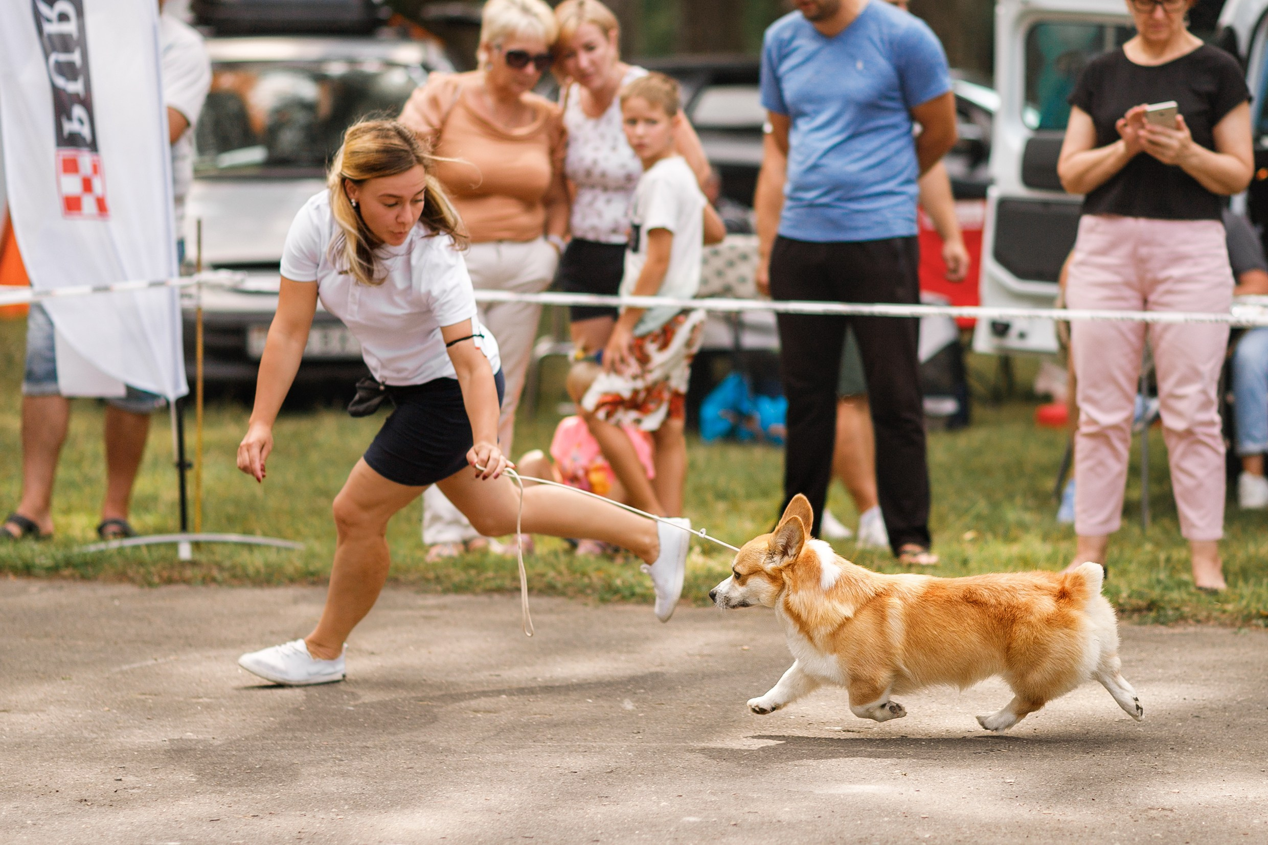 Dog shows | the best ones. Kaja | fotograf psów we Wrocławiu