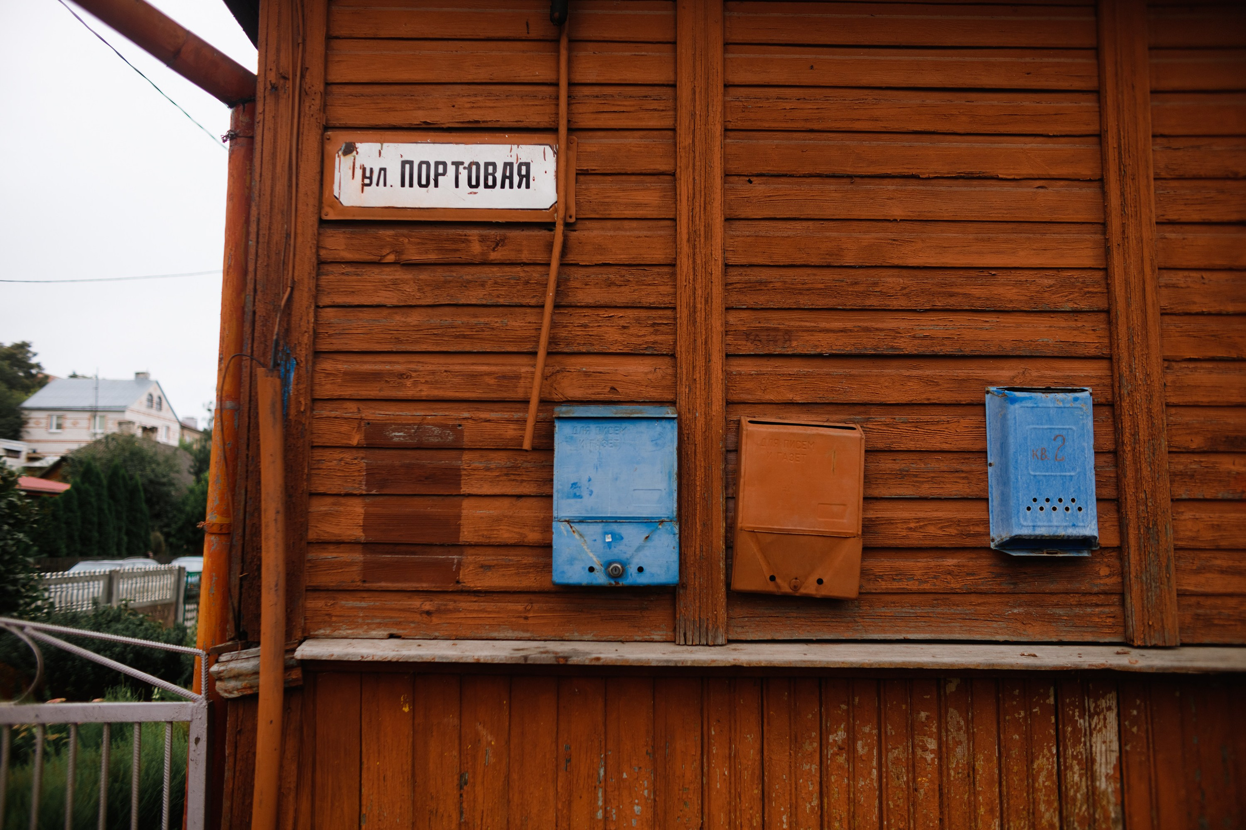 Grodno. Kaja | fotograf we Wrocławiu | ludzie i psy