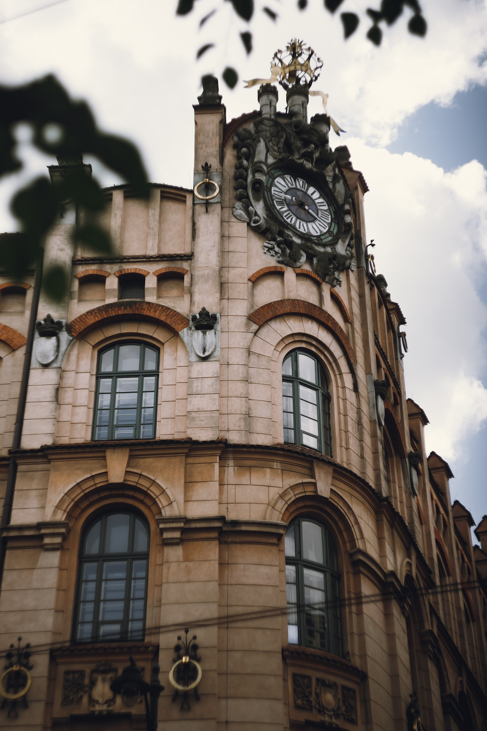 Krakow. Kaja | fotograf psów we Wrocławiu