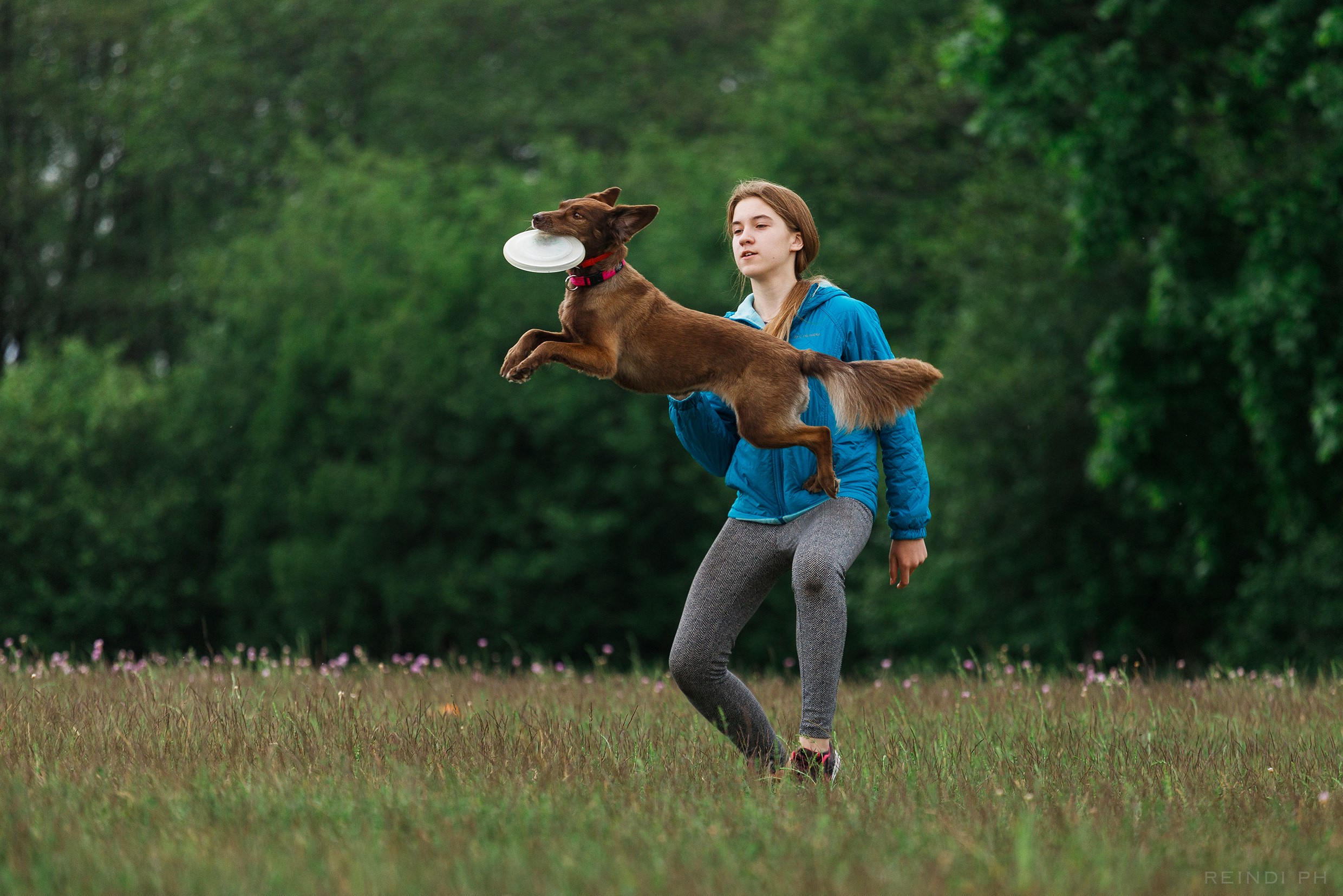 Dog frisbee championship | summer. Kaja | fotograf we Wrocławiu | ludzie i psy