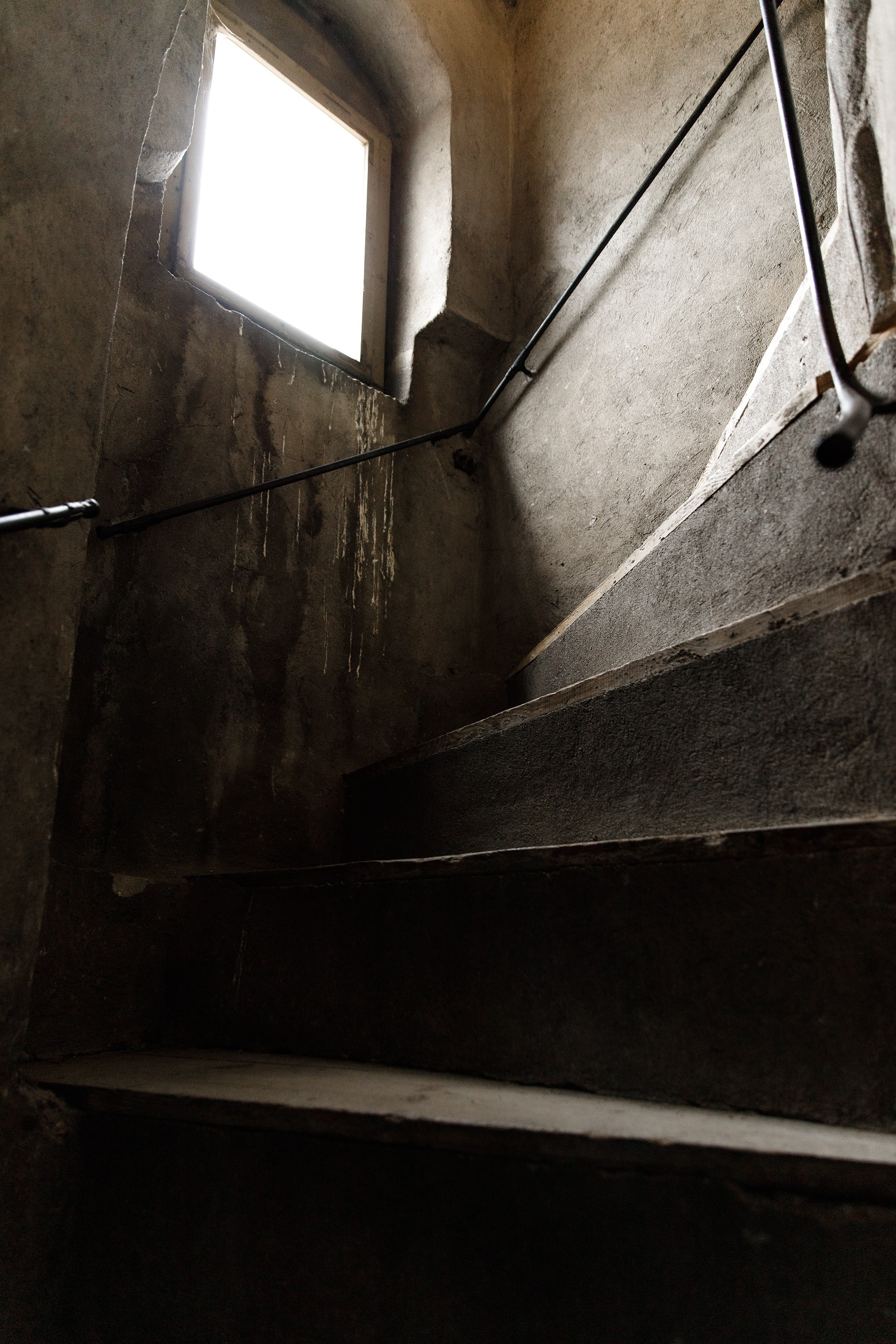 Oleśnica castle. Kaja | fotograf psów we Wrocławiu