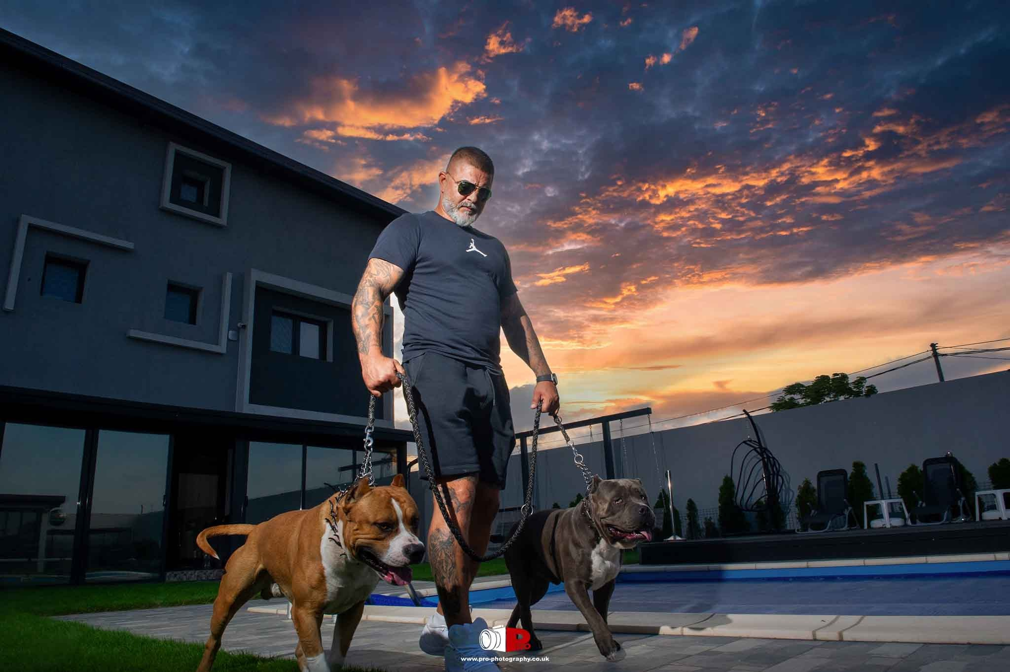 A muscular man with tattoos walks two powerful pit bulls by a poolside at sunset.