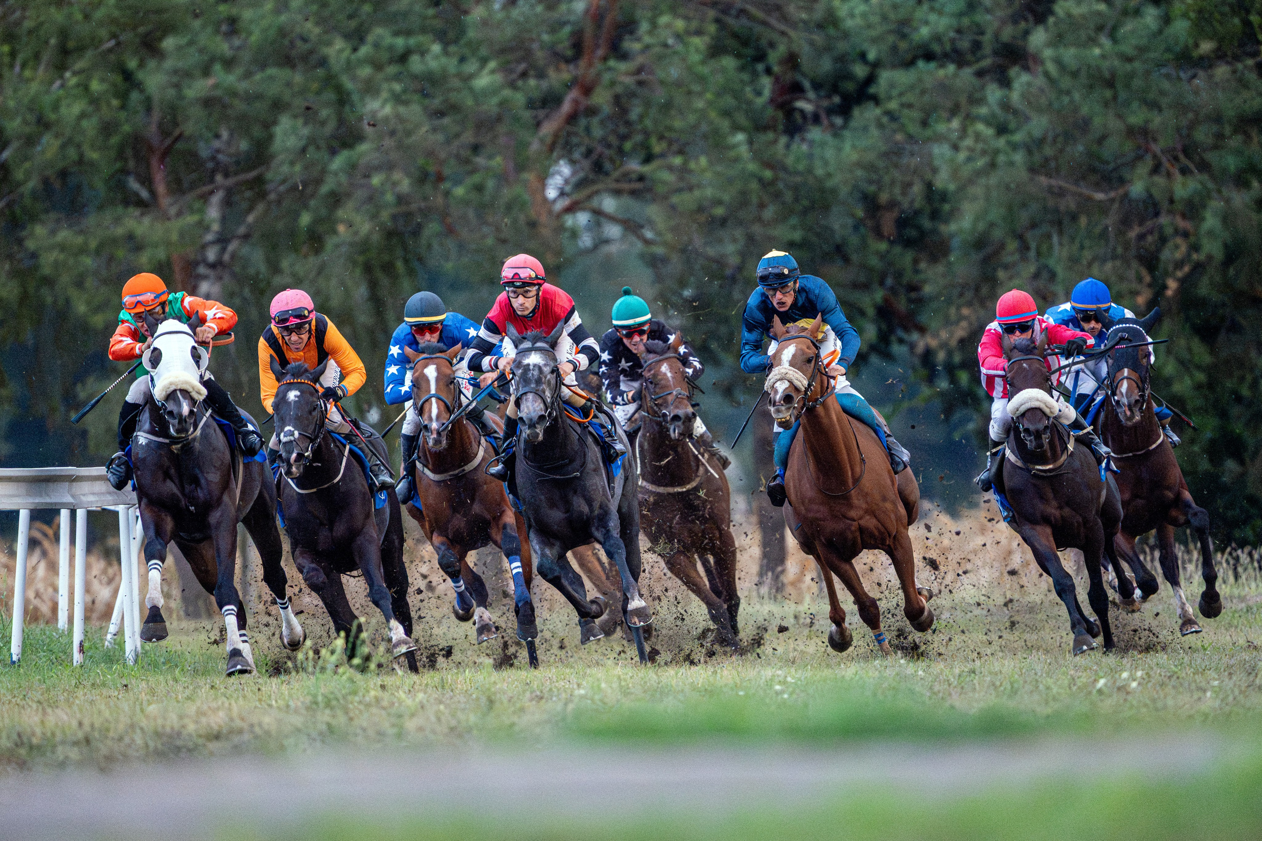 Sport. Wedding photography