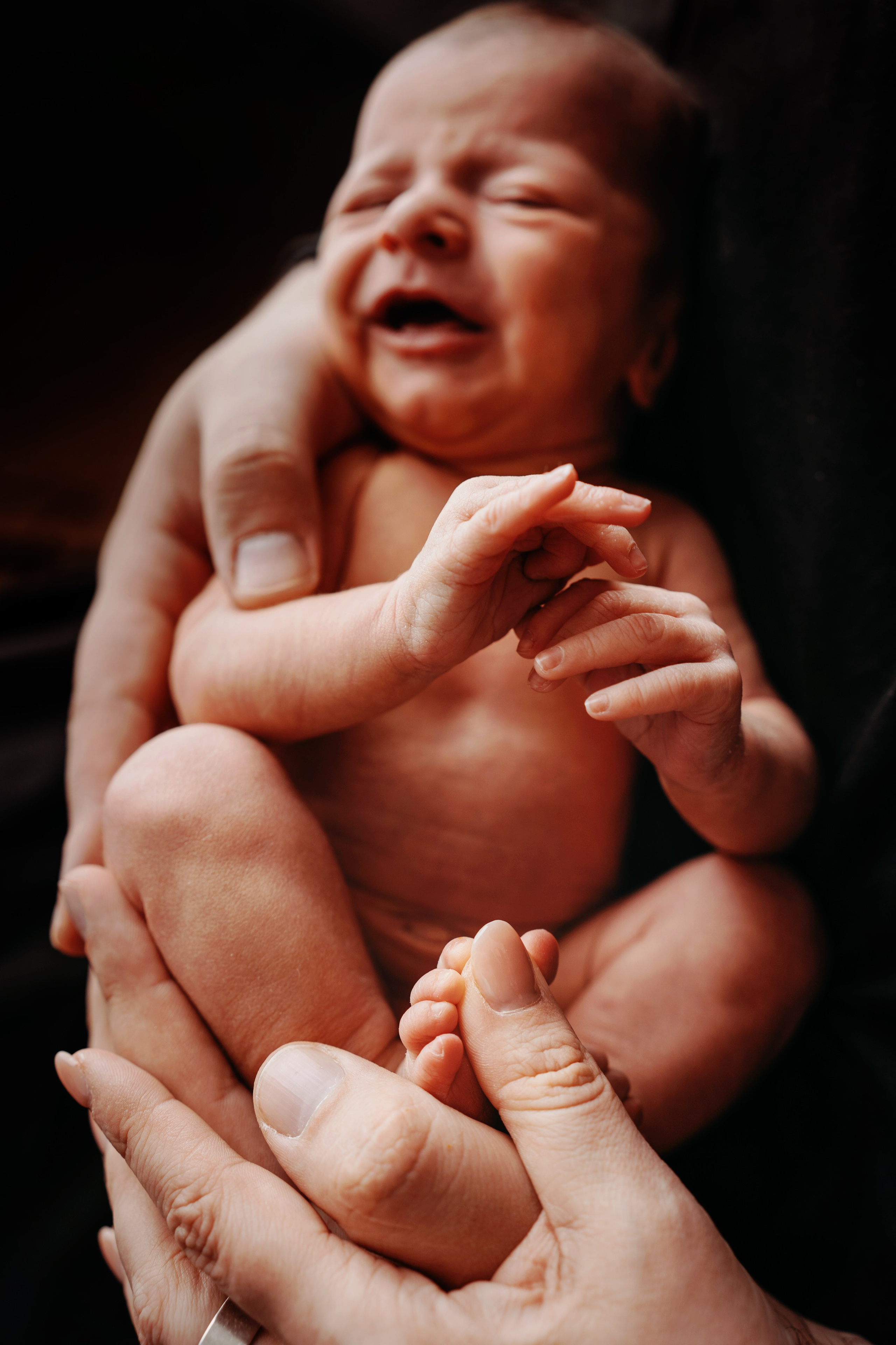 Ханна. Фотограф новорожденных и детей первого года Евгения Михалькевич