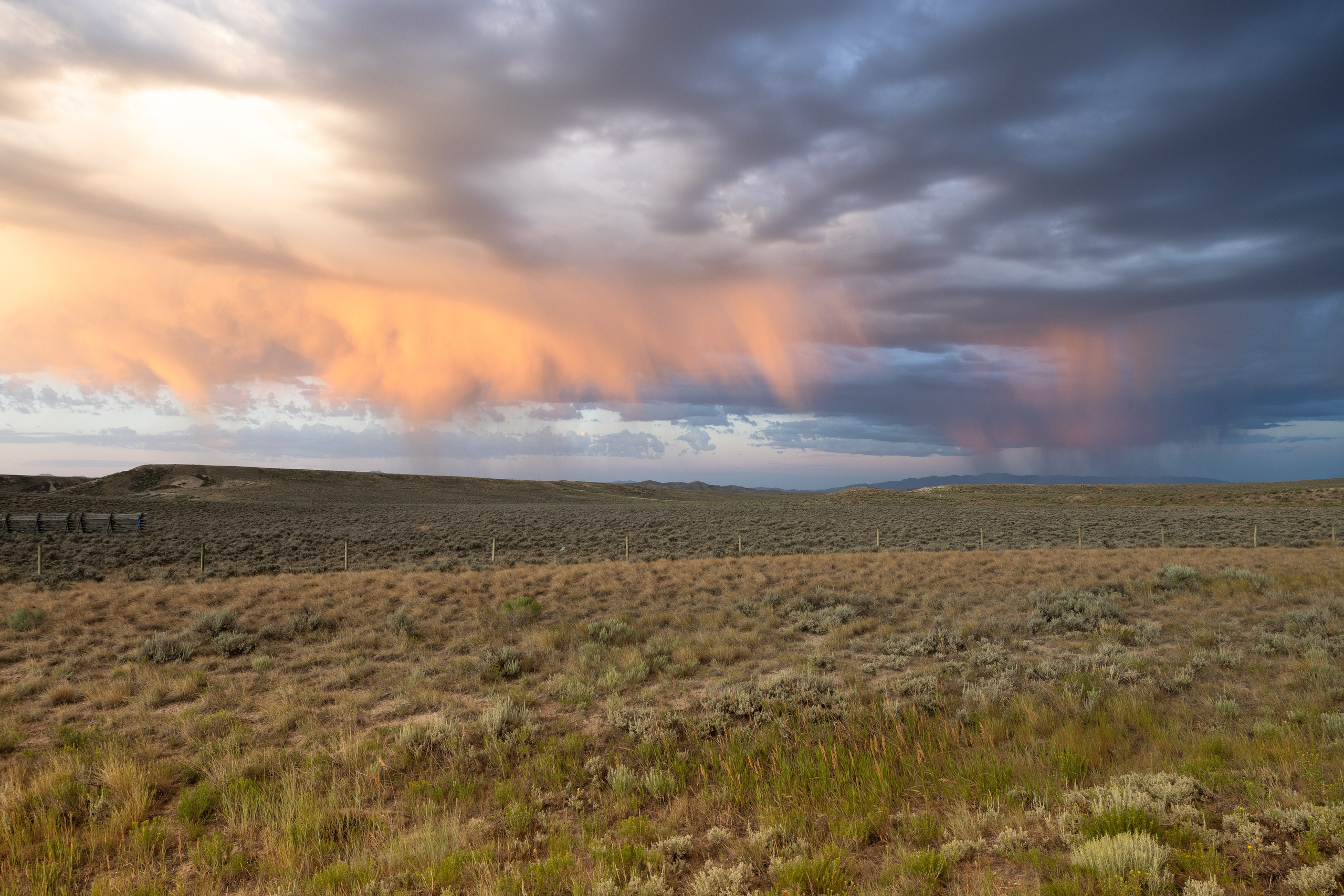 Wyoming. Family Lifestyle Photography
