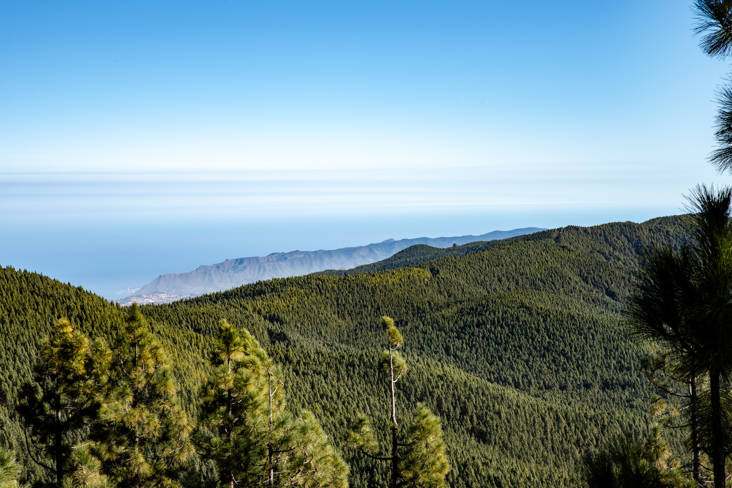 Tenerife. Bojana Žuža, photographer in Belgrade, Serbia