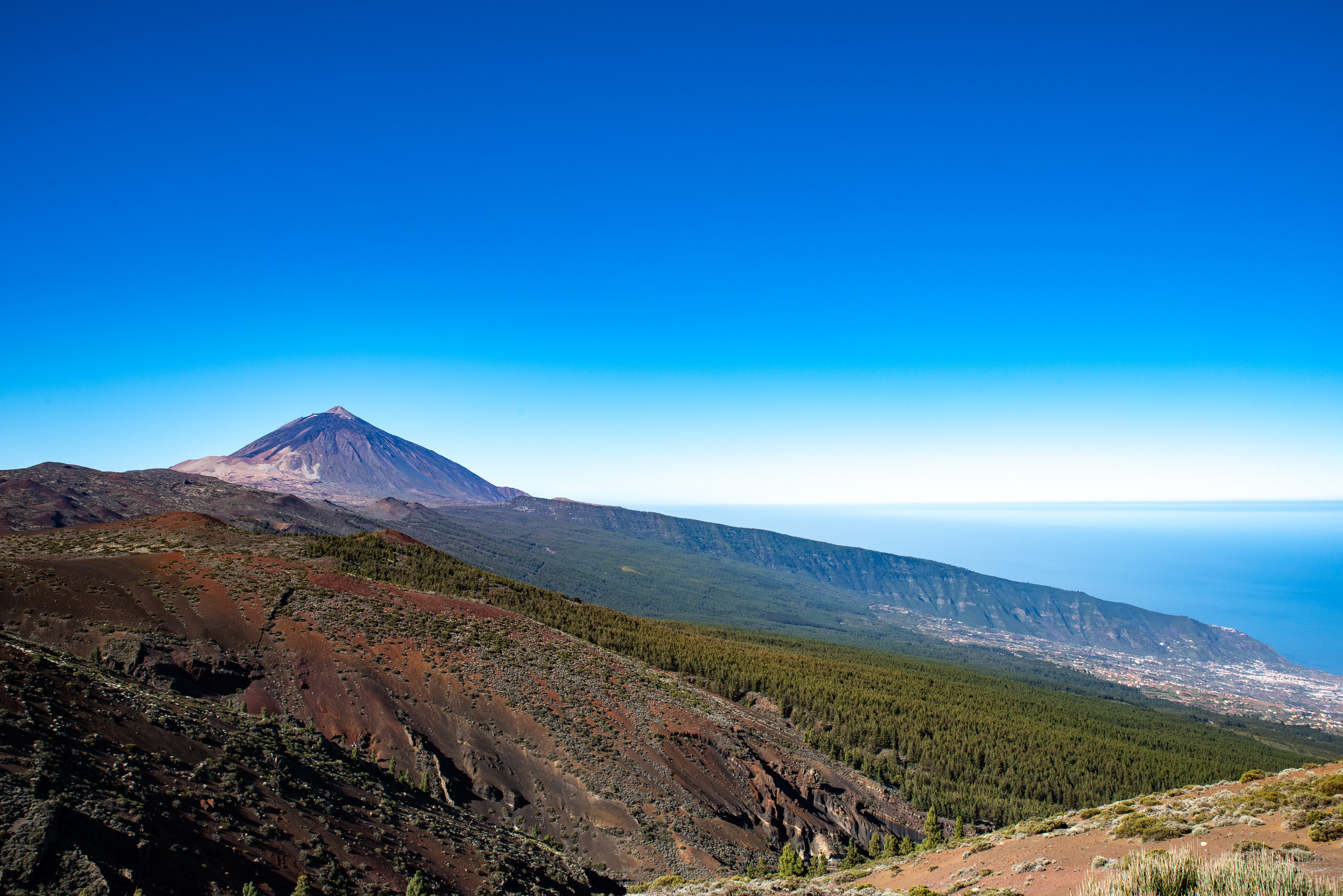 Tenerife. Bojana Žuža, photographer in Belgrade, Serbia