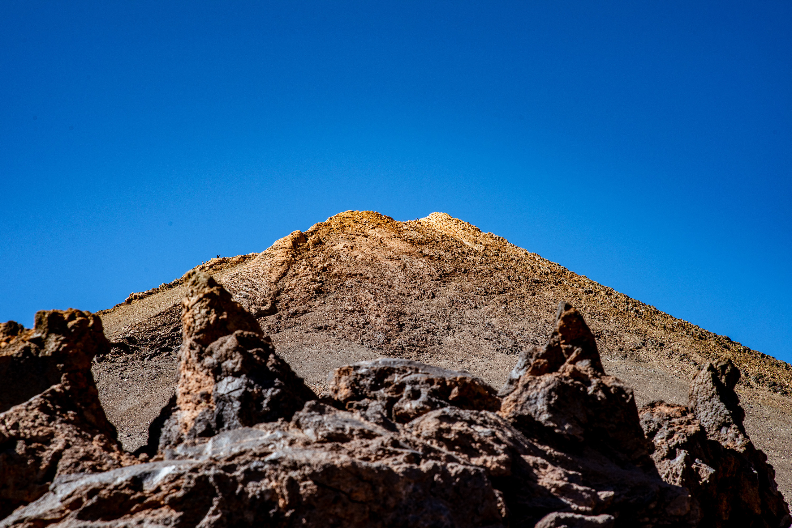 Tenerife. Bojana Žuža, photographer in Belgrade, Serbia