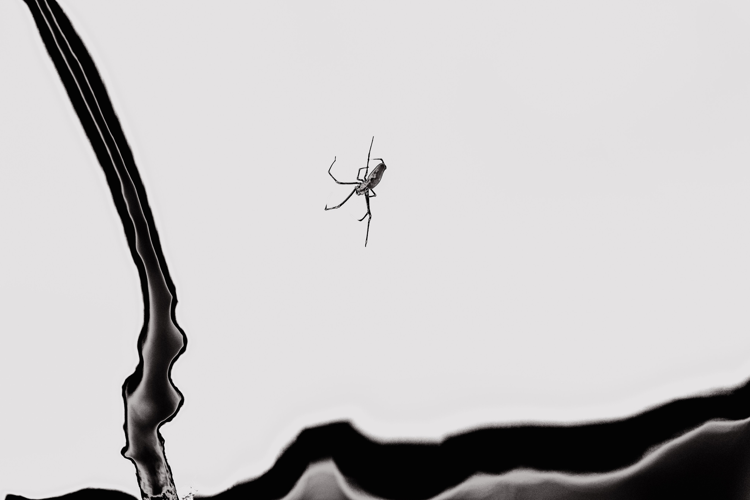 ART. Alexandru Raileanu