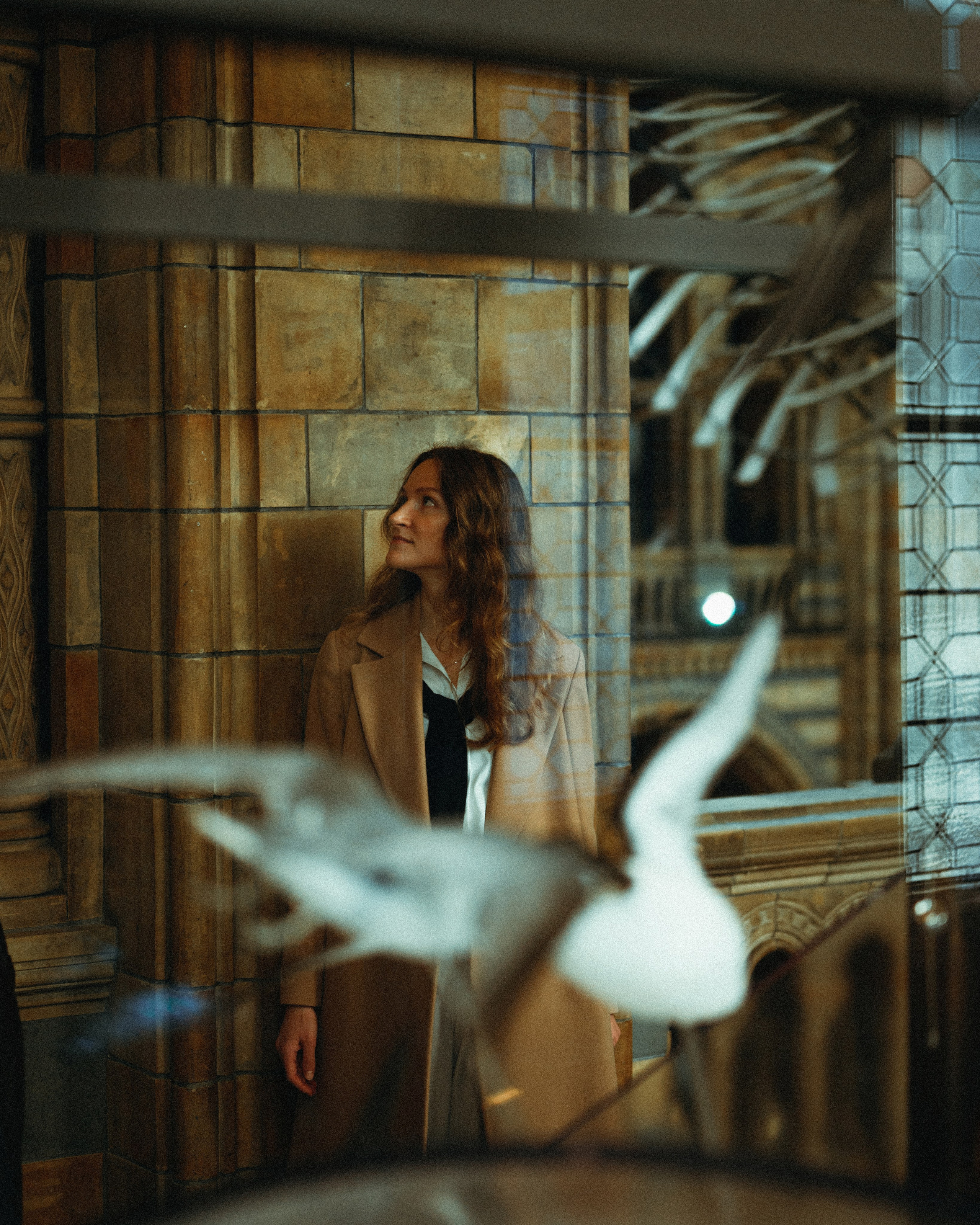 Natural History Museum photoshoot in Dark Academia style. Moth & Moss Photography