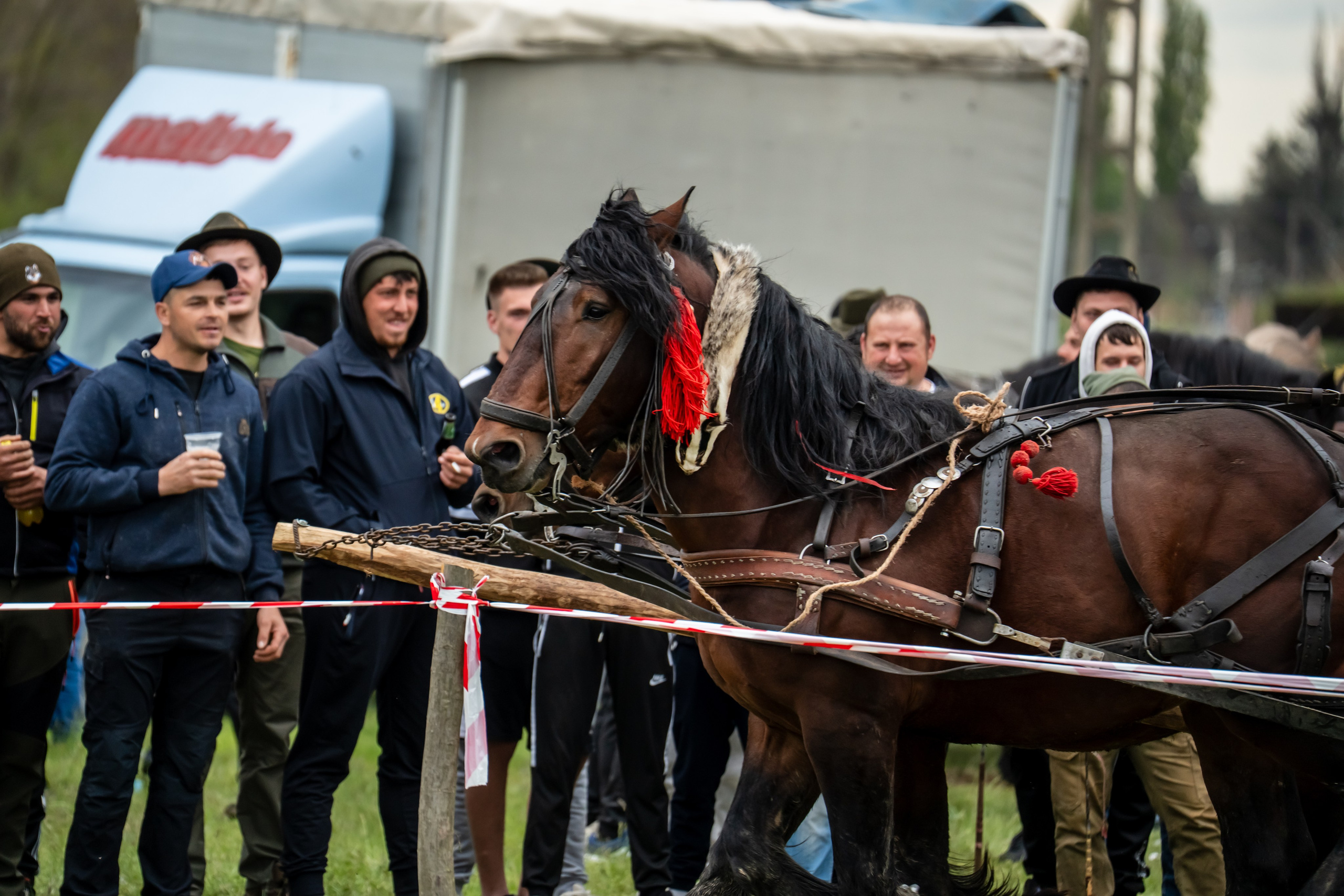 Concurs Ecvestru Vărbilău ediția a 4-a. Mihai Alexandra Events
