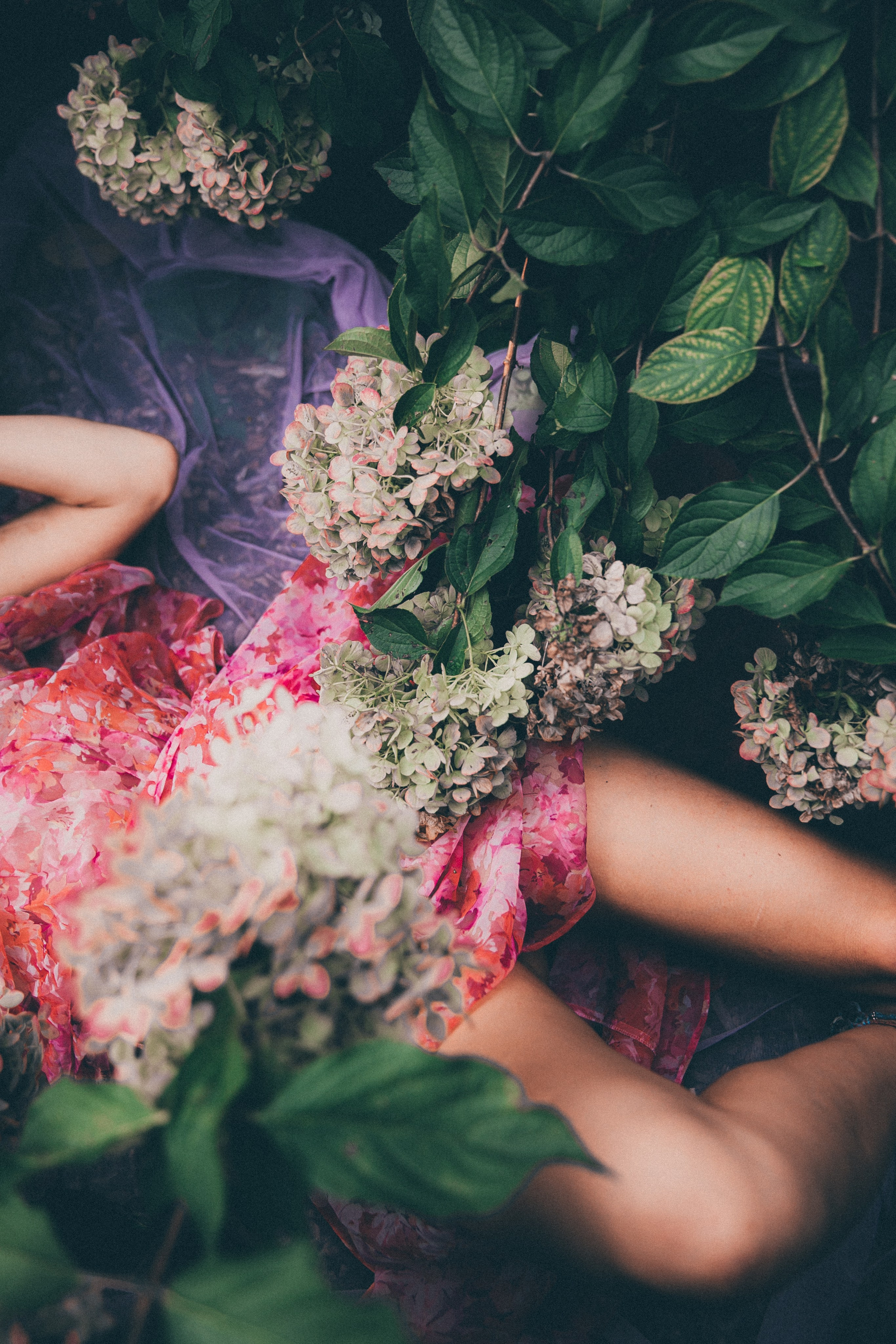 Krista Flower garden. Sandra Garanca Portrait and event photographer