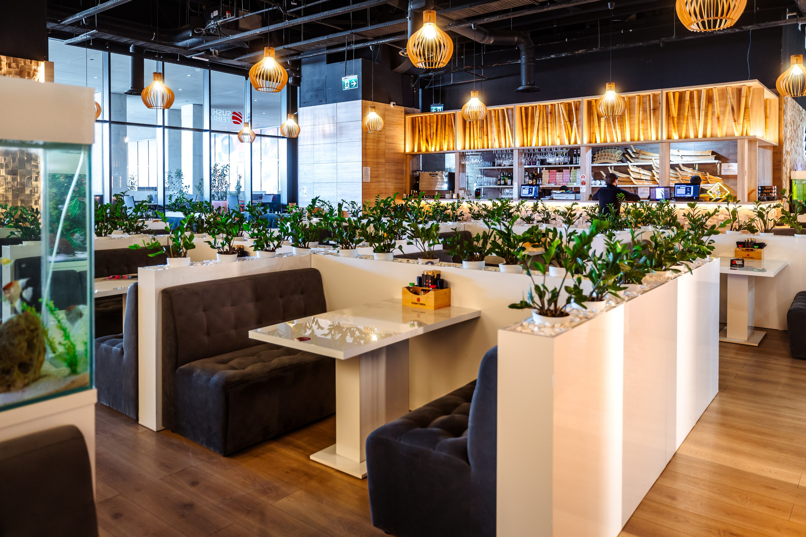Sushi Terra. Marius Ciocan