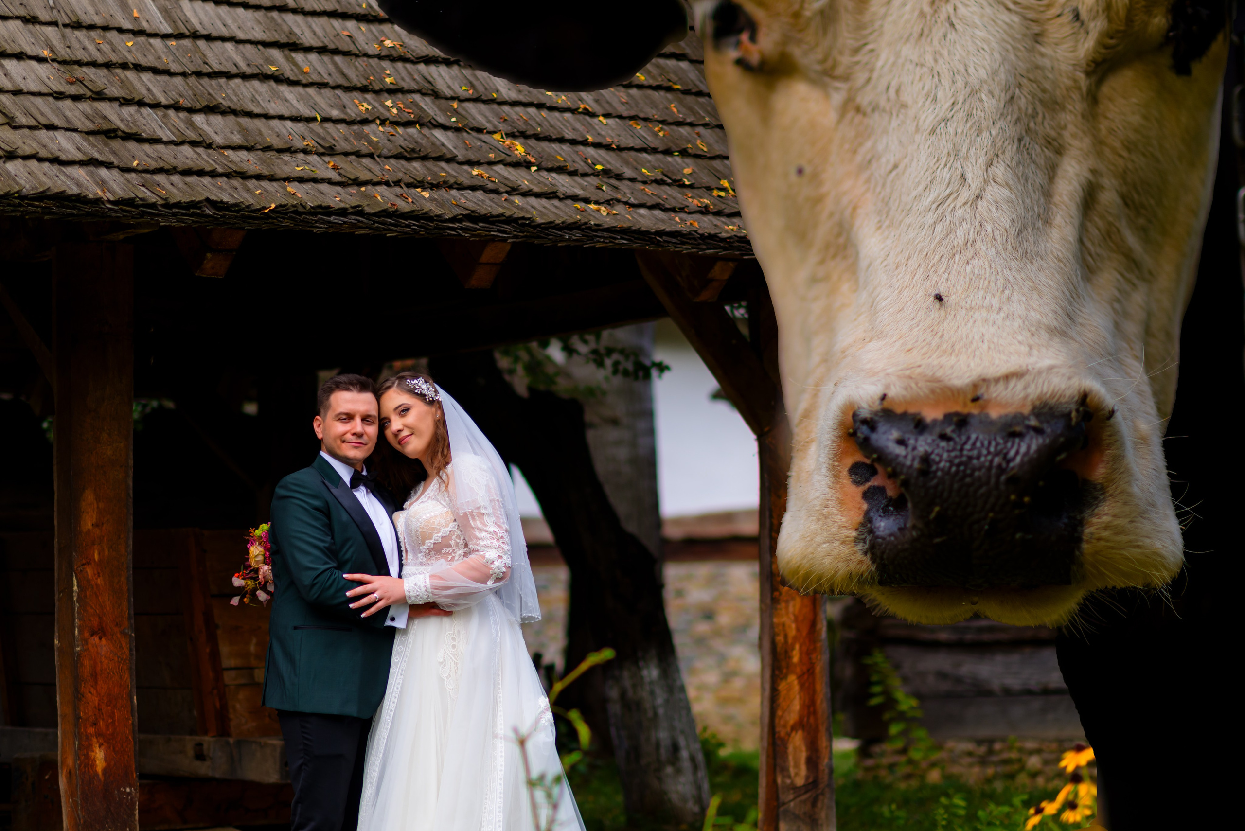 Galerie foto nuntă — Fotograf de eveniment Cătălin Lazăr. Cătălin Lazăr Photography — Fotografie de nuntă și evenimente premium în România și Europa