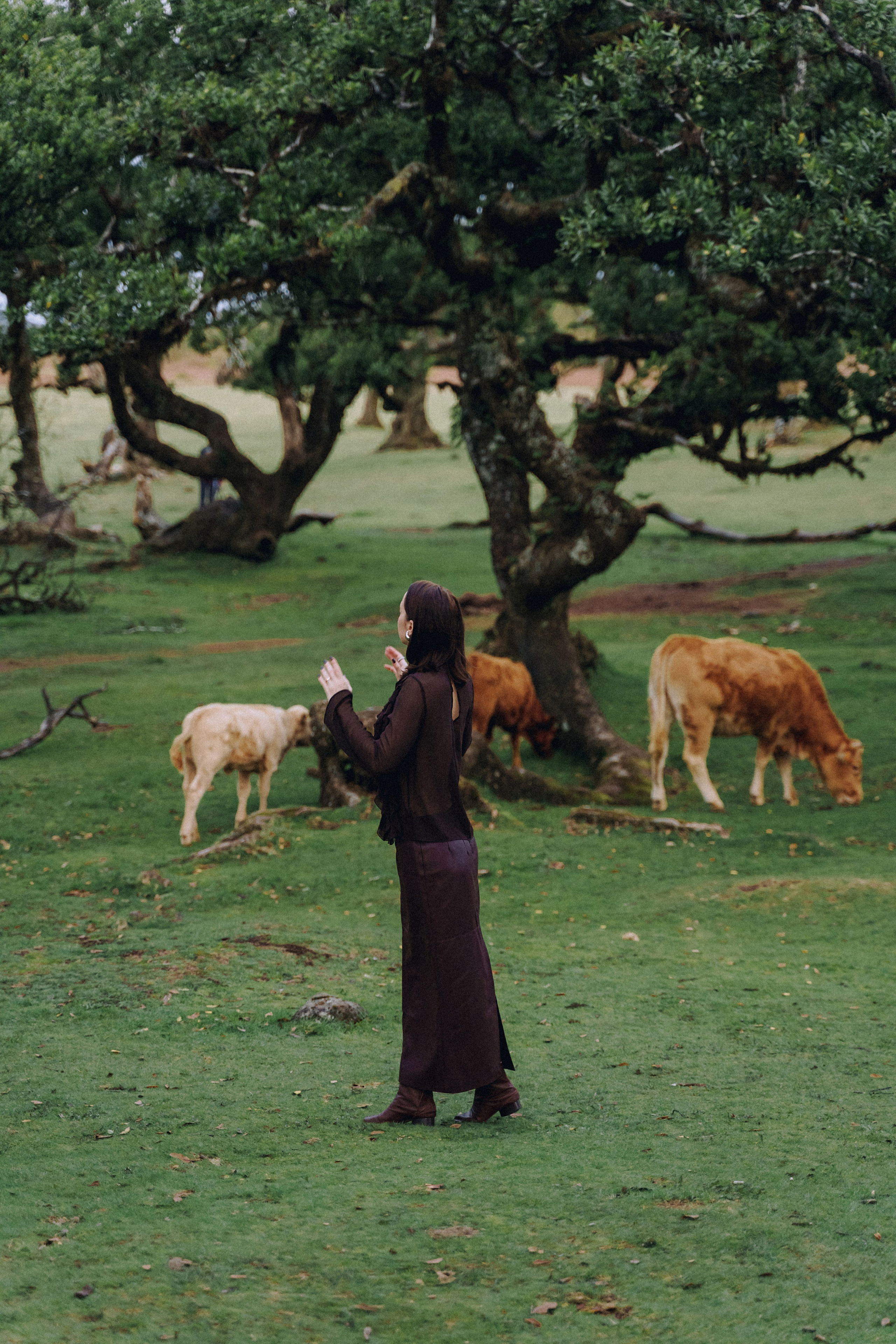 Individual Photoshoot in Fanal Forest — Oksana | Madeira Photography. Your photographer in Madeira