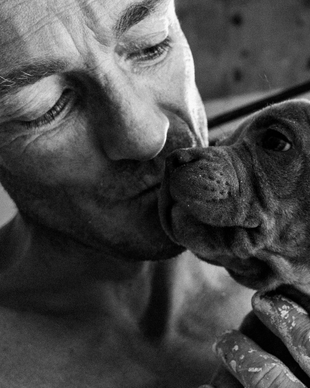 Film Grain Co. Volume 1