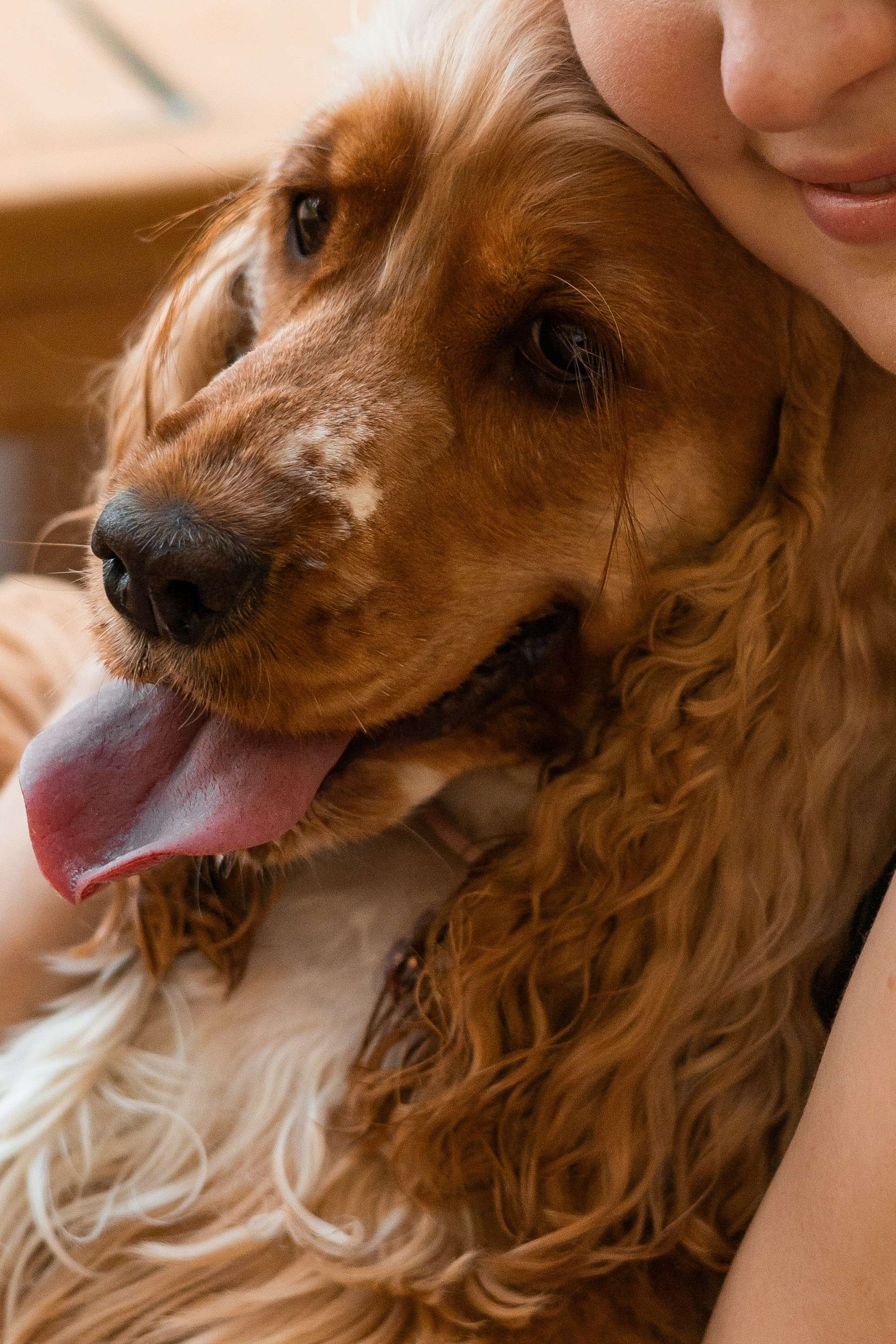 Алина и Юки. Фотограф-анималист | Белград