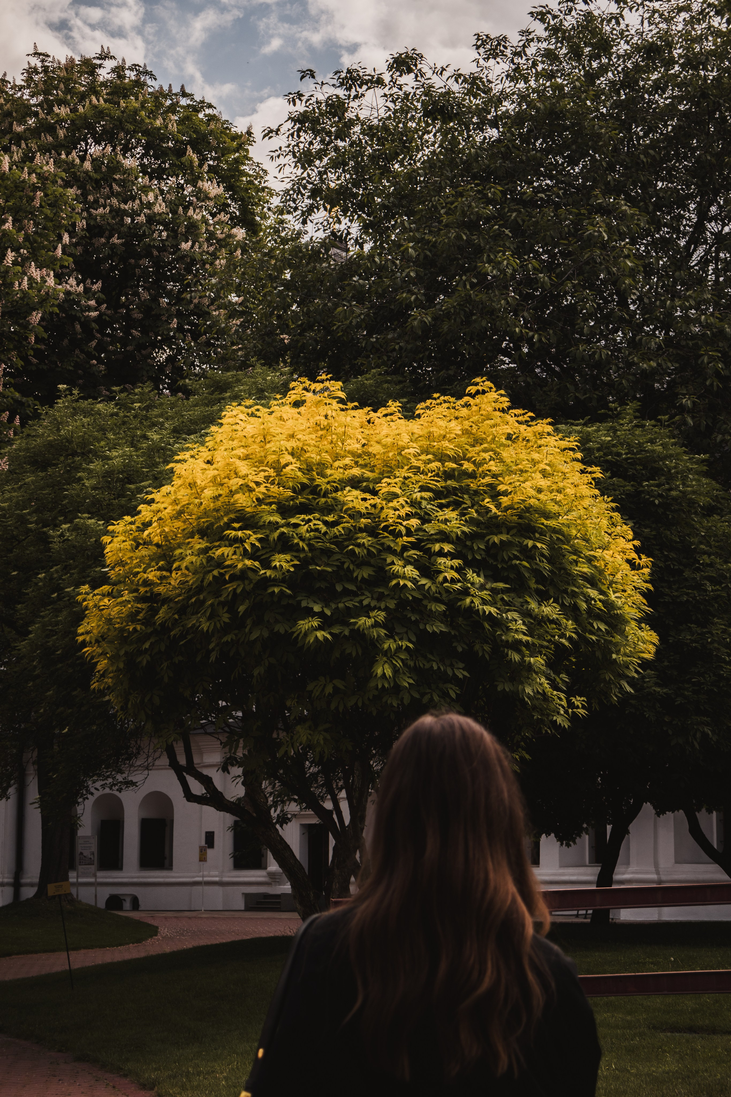 Alisa. Дизайнер и Фотограф в Кишинёве Бусуйок Станислав
