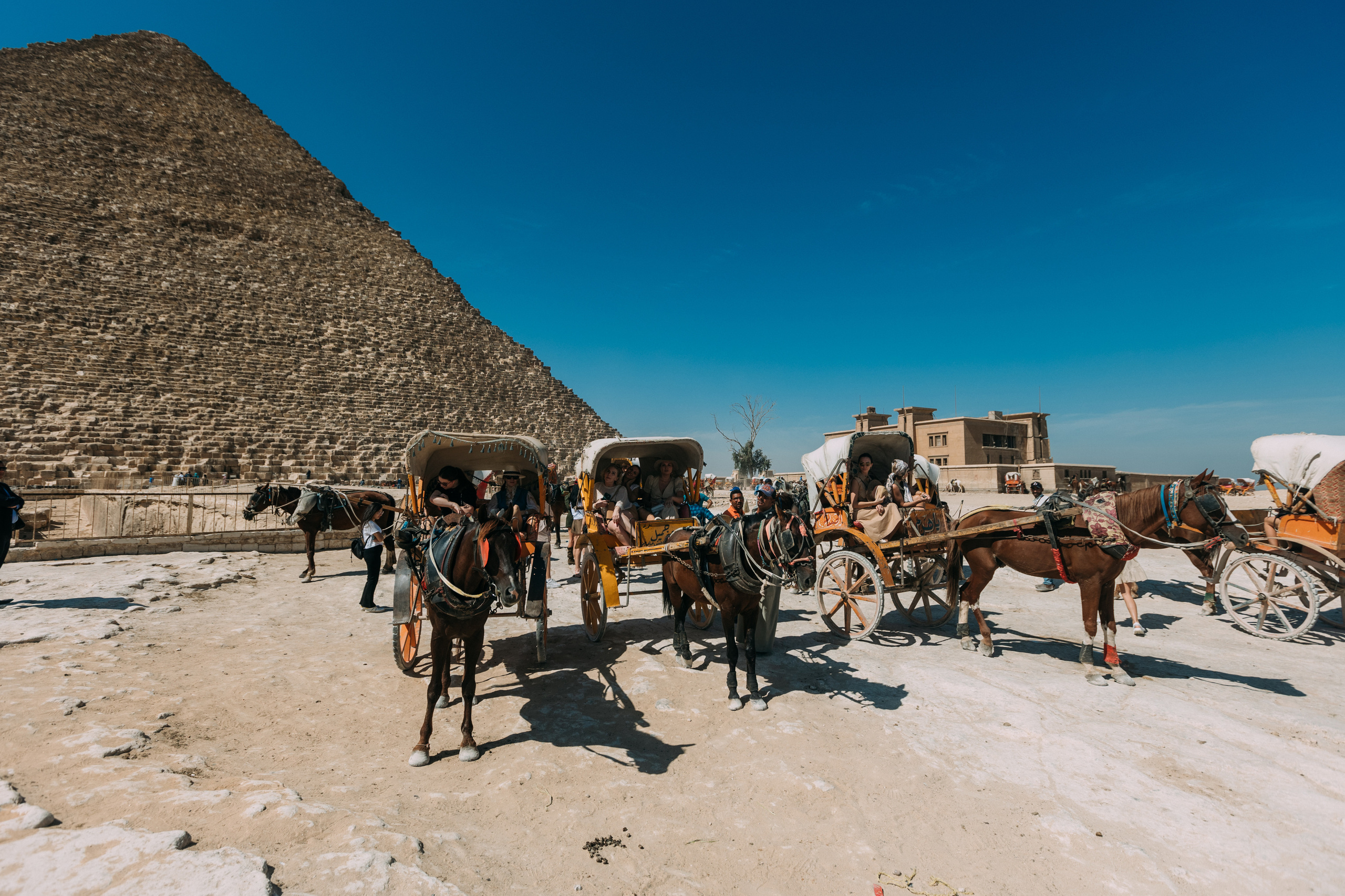 Женский бизнес клуб у пирамид. Фотограф в Каире Египет Анастасия Ильина