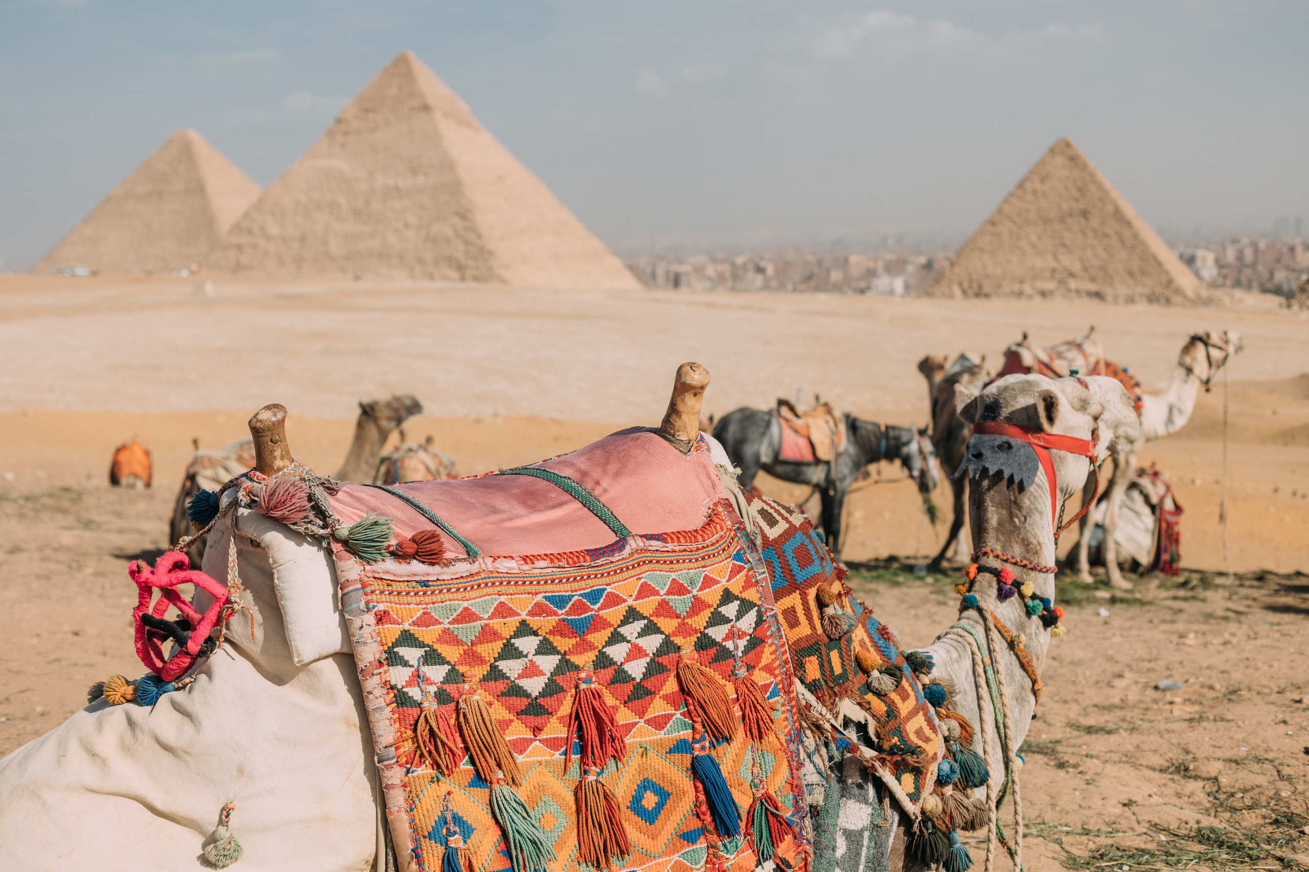 Nathan. Фотограф в Каире Египет Анастасия Ильина