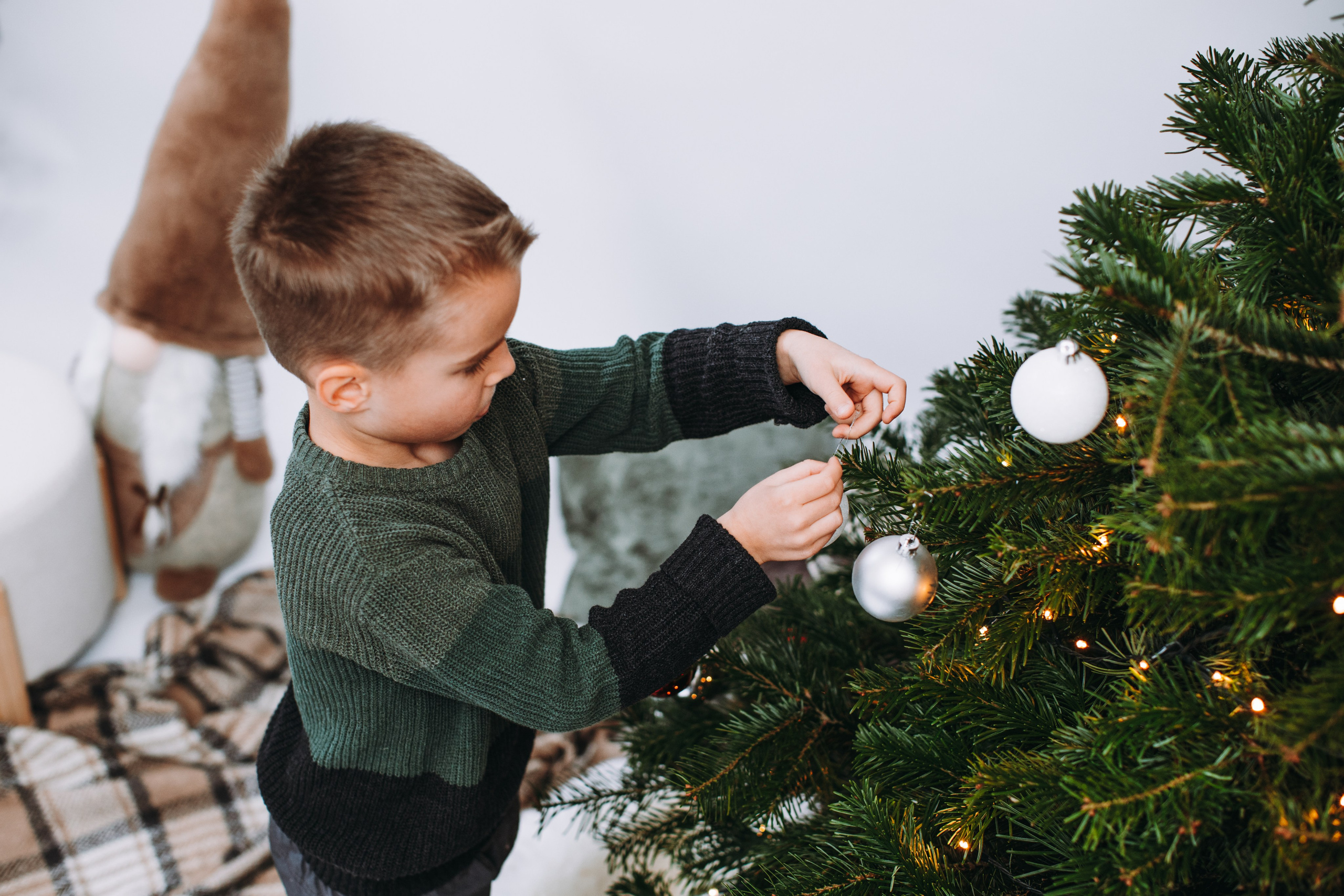 Weihnachtsshooting. Dienstleistungen