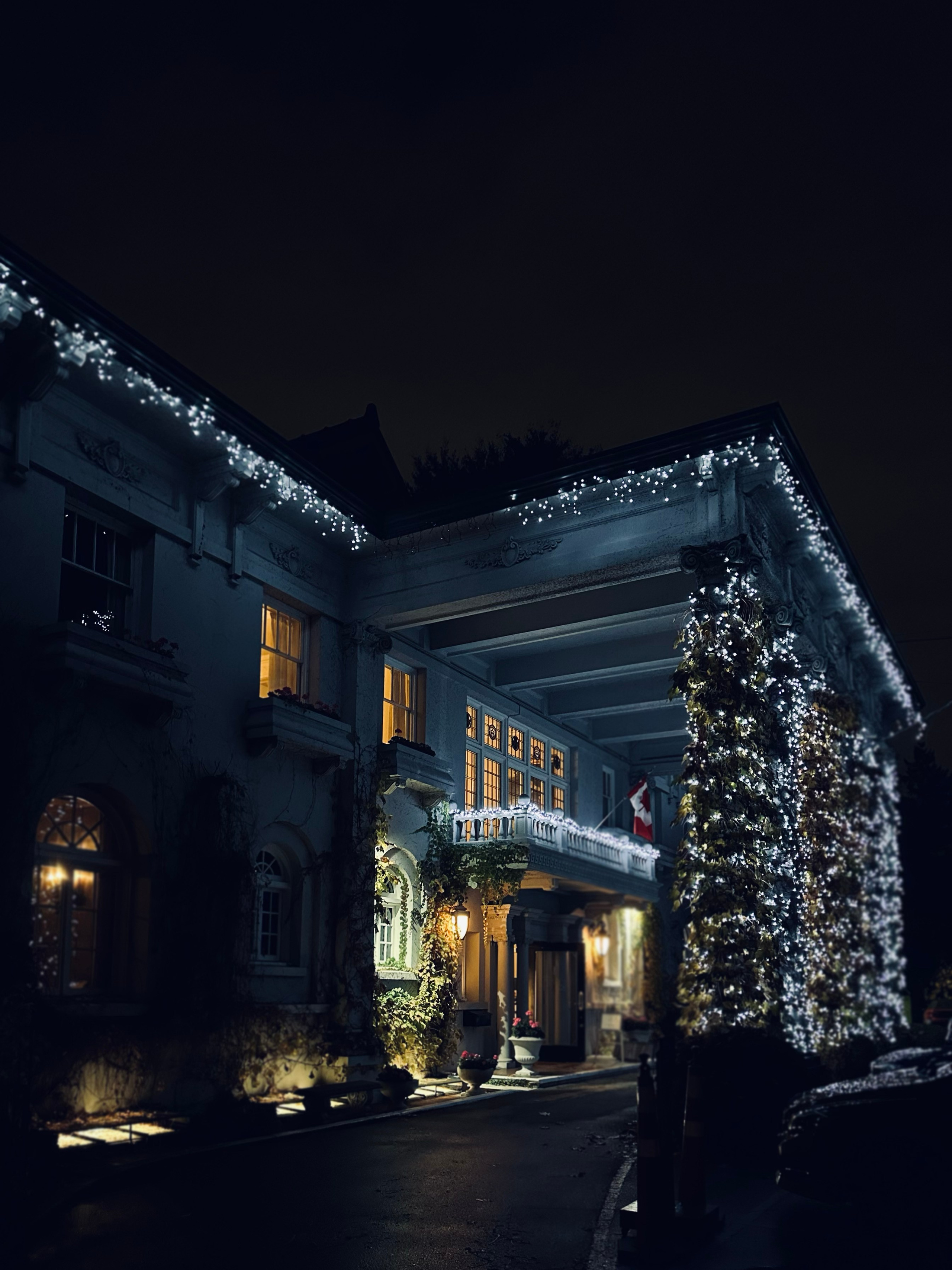 Anna & Moss magic, Content. Yana Bobrova | Artistic Photography