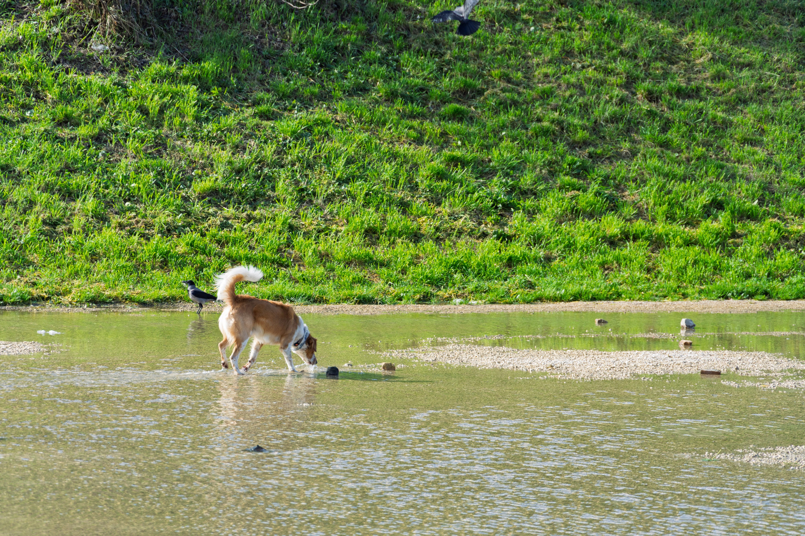 Roma 2025. Fotografiideplacere.net