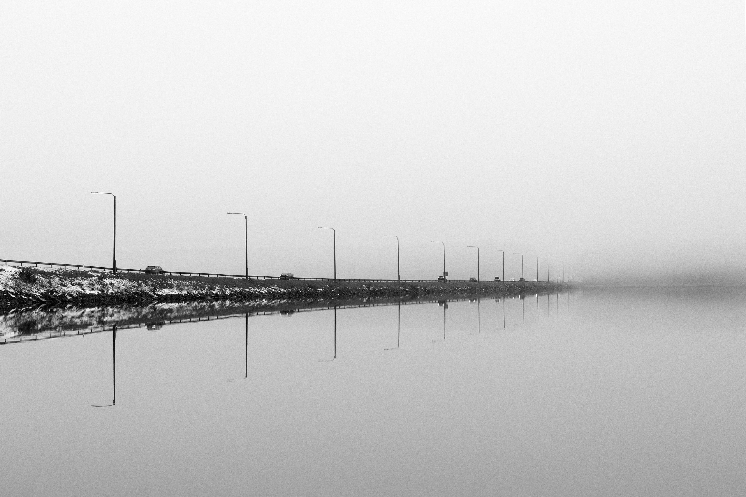 Friends or foes. Maija Bondar Photographer