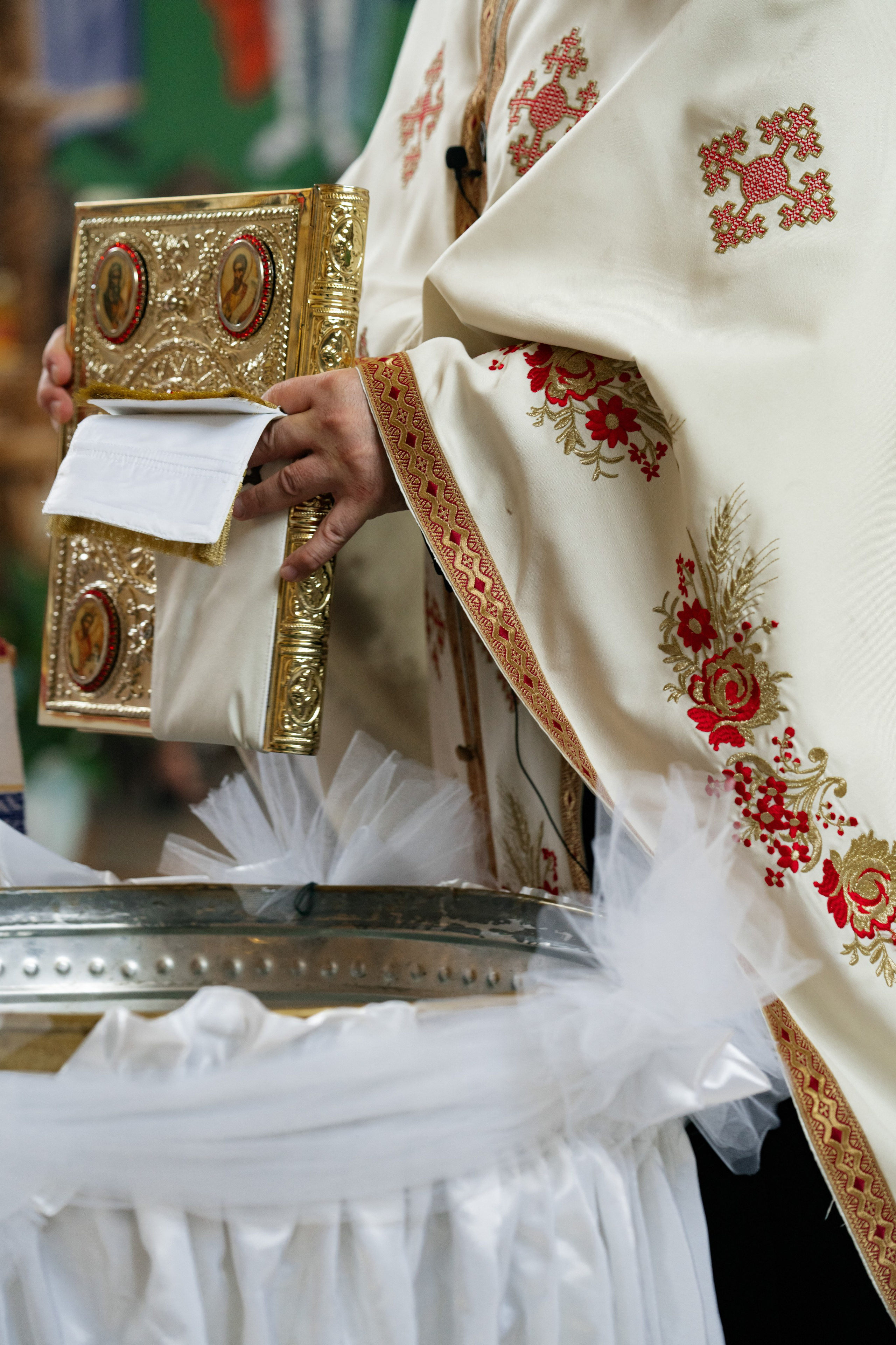 Adele Mari. Studio Timis