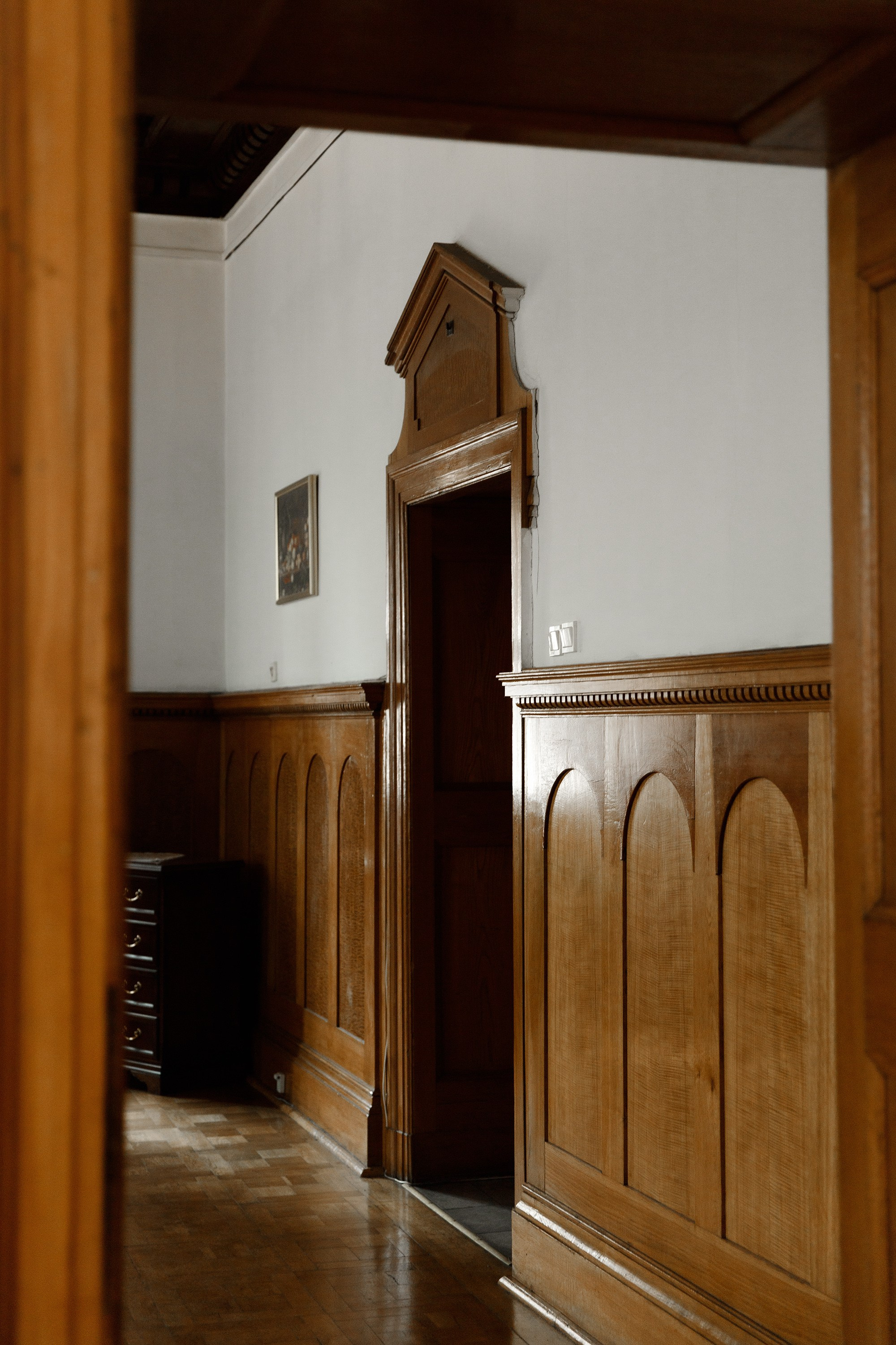 Oleśnica castle. Kaja | fotograf psów we Wrocławiu