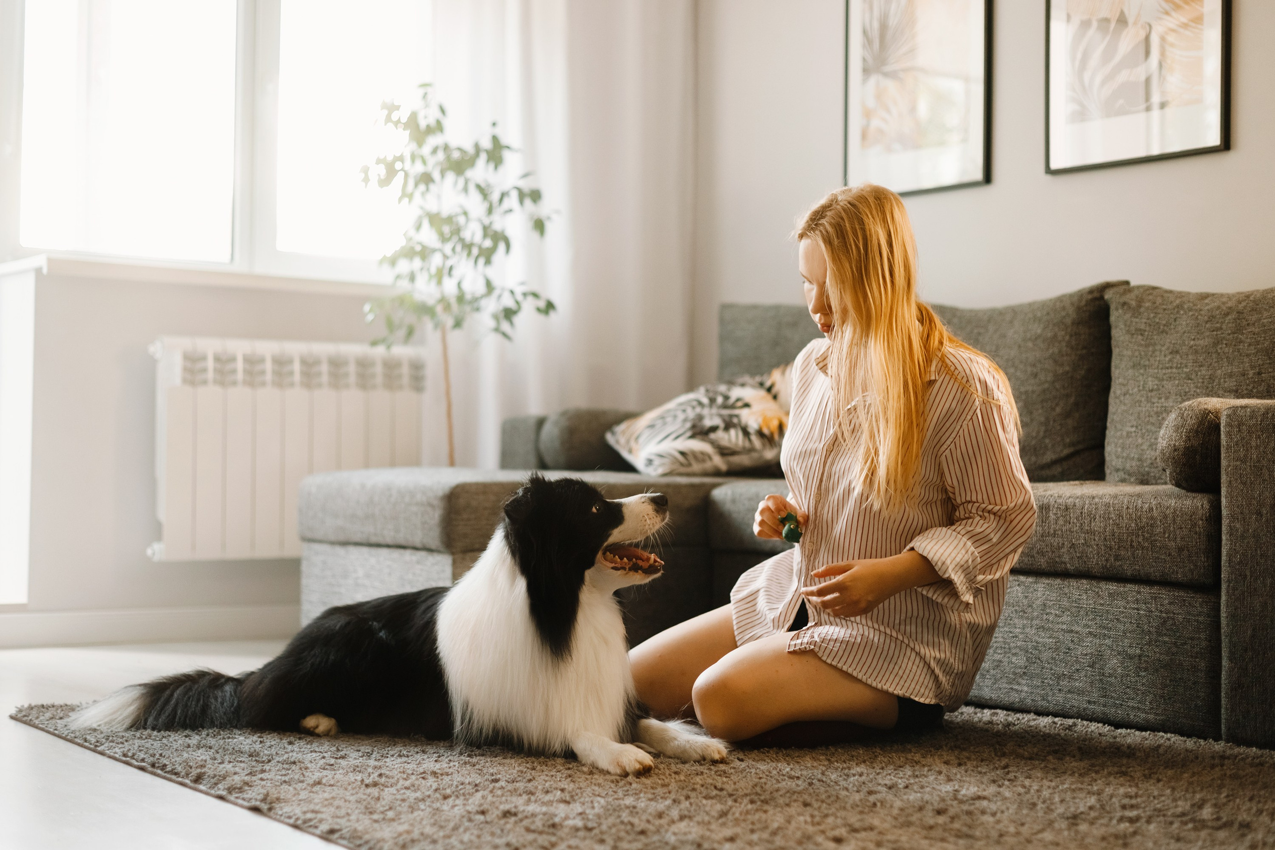 Evgenia & Richard. Kaja | fotograf we Wrocławiu | ludzie i psy
