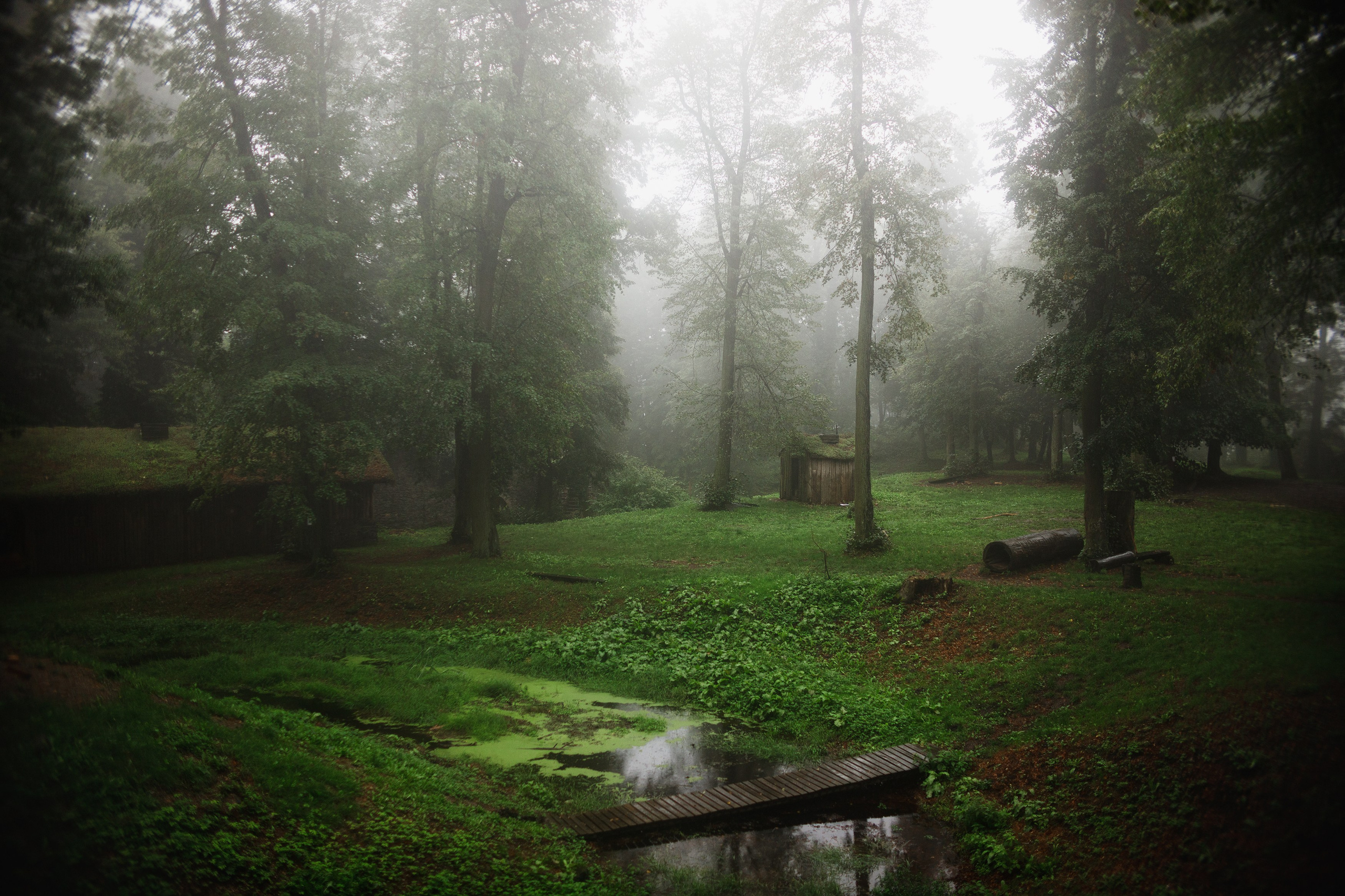 Zamek Grodziec. Kaja | fotograf psów we Wrocławiu