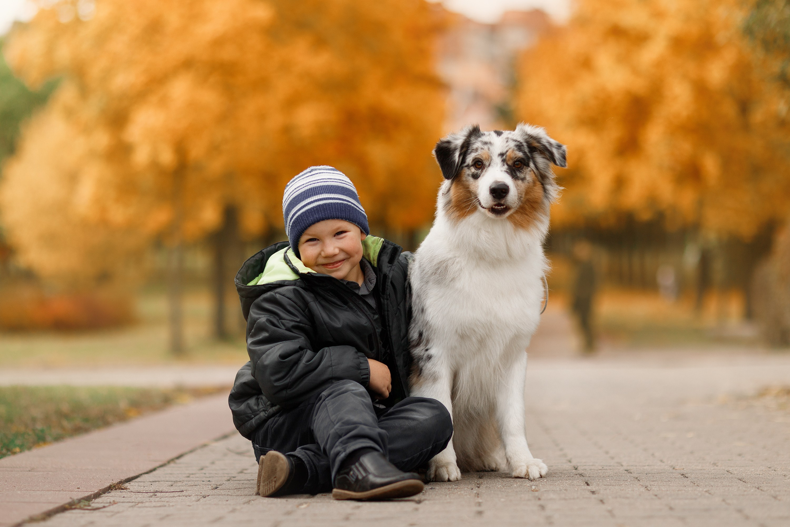 Autumn photo day for dog handler. Kaja | fotograf we Wrocławiu | ludzie i psy