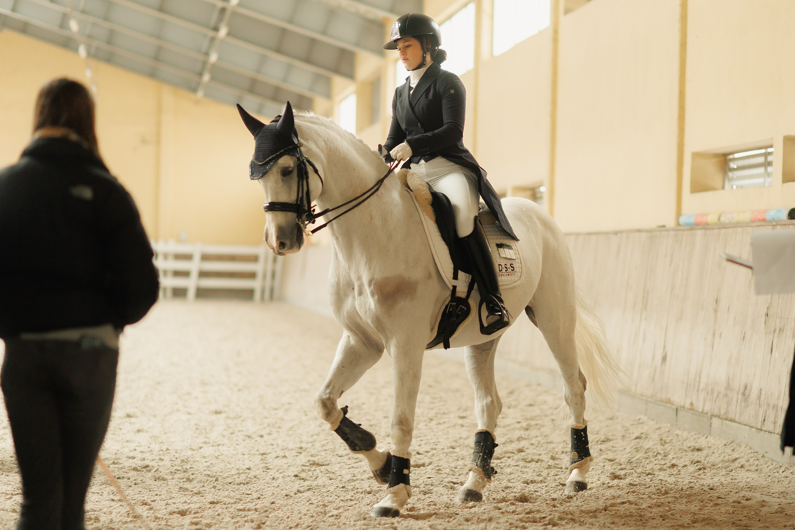 Fotografia koni Wrocław \ ujeżdżenie, Partynice. Kaja | fotograf we Wrocławiu | ludzie i psy