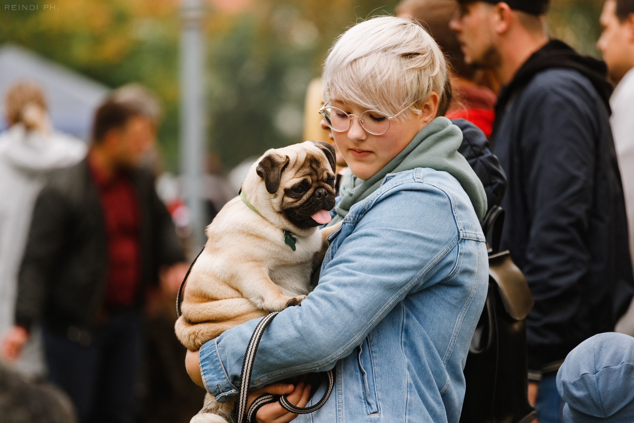 «Argus» dog show in Brest. Kaja | fotograf we Wrocławiu | ludzie i psy