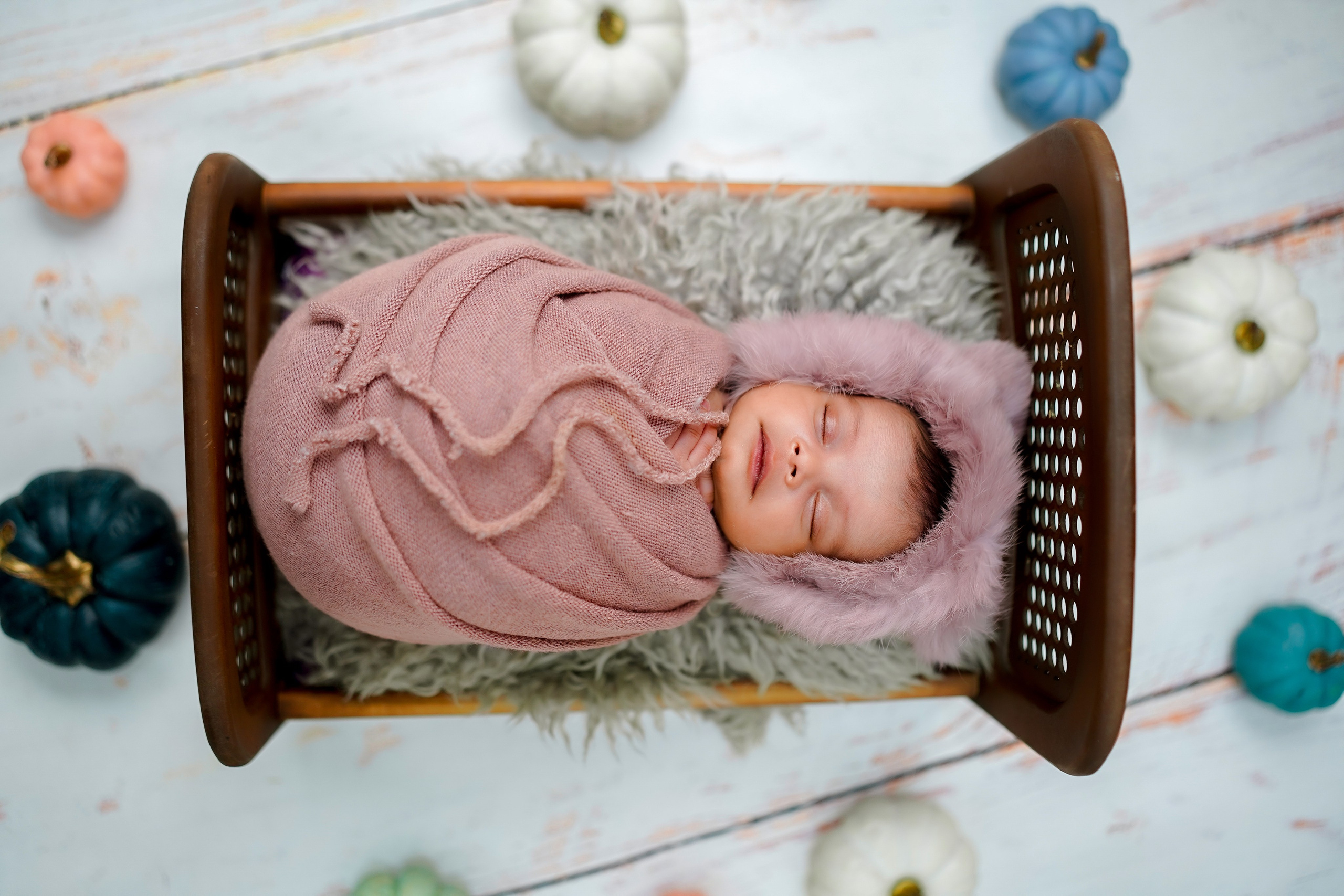 New born. TNF photo & filming