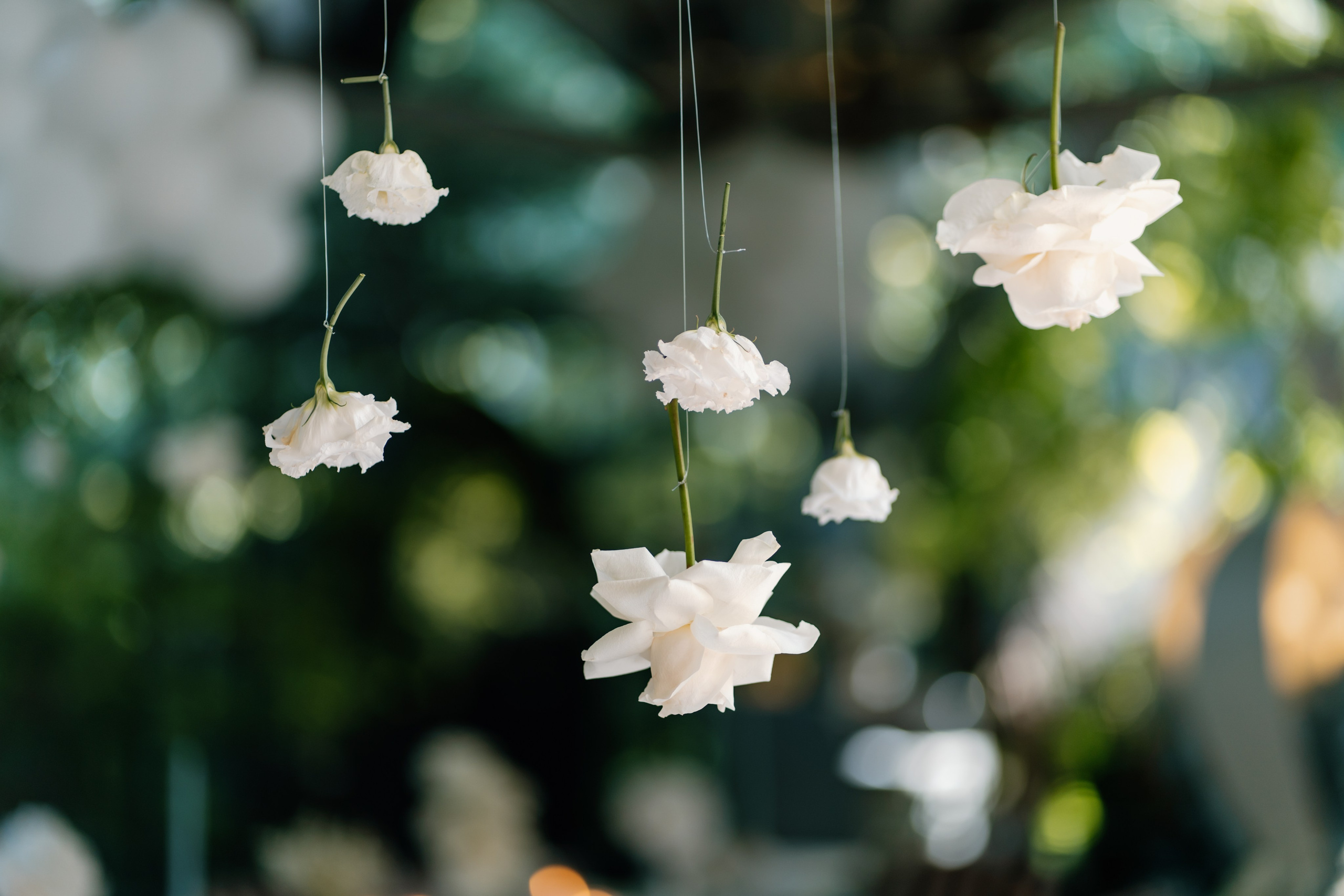 Baby Tudor. Gabrielacojocariu.com