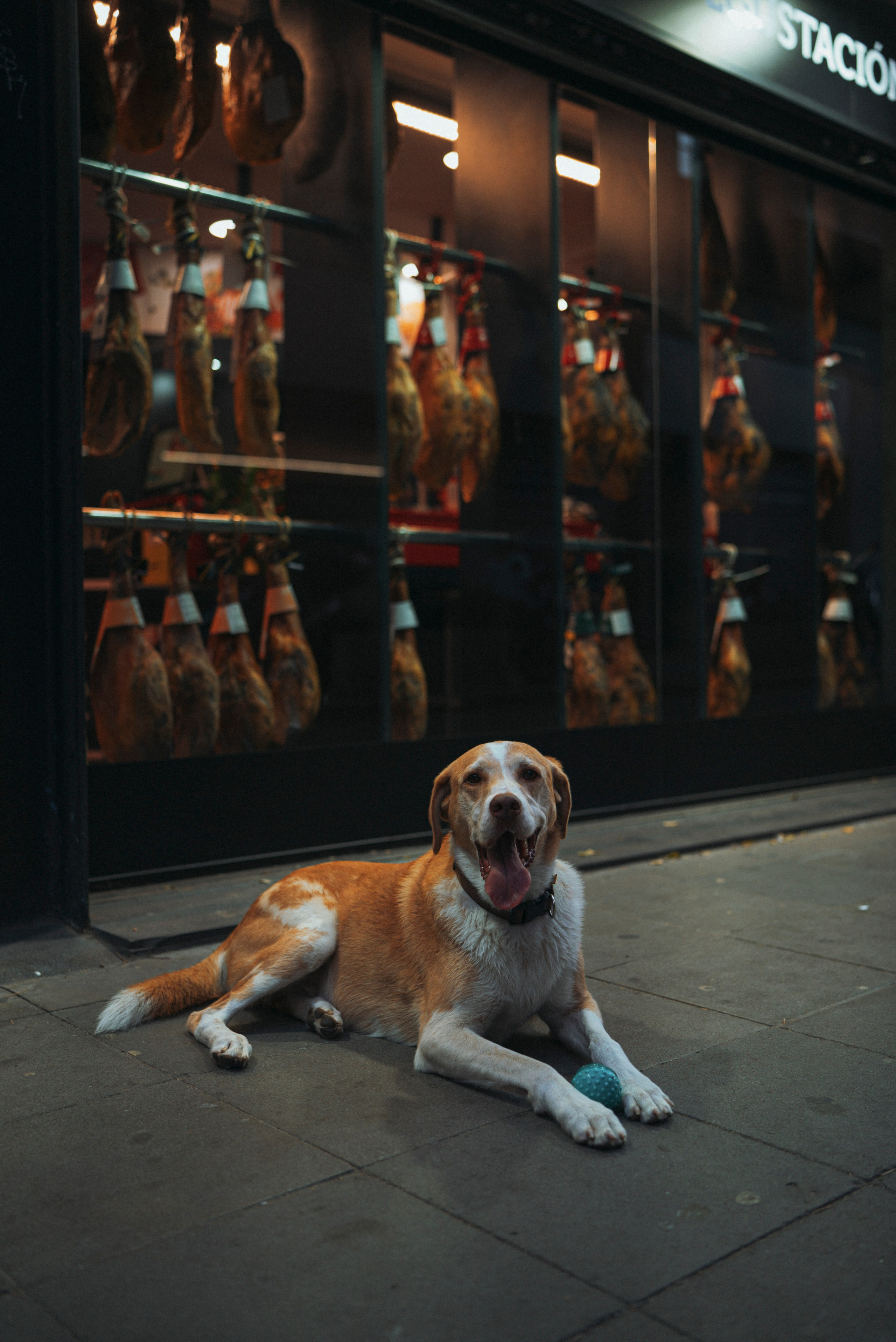 ЕВРОТУР. Стрит-фотография, полная абсурда, идиотизма и красоты