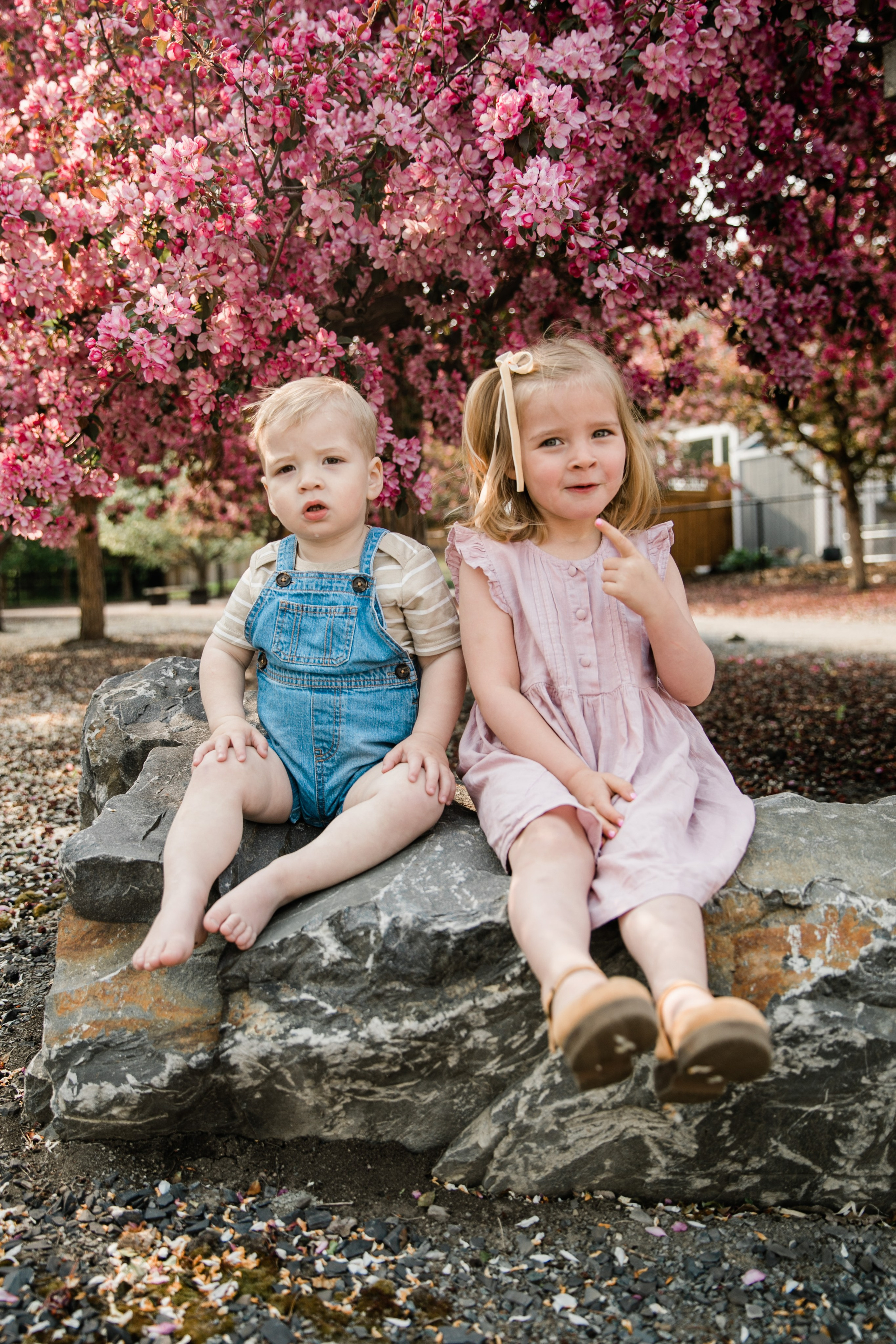 Pitchers Family Photos — Cherry Blossom. Fotografía accesible en Calgary