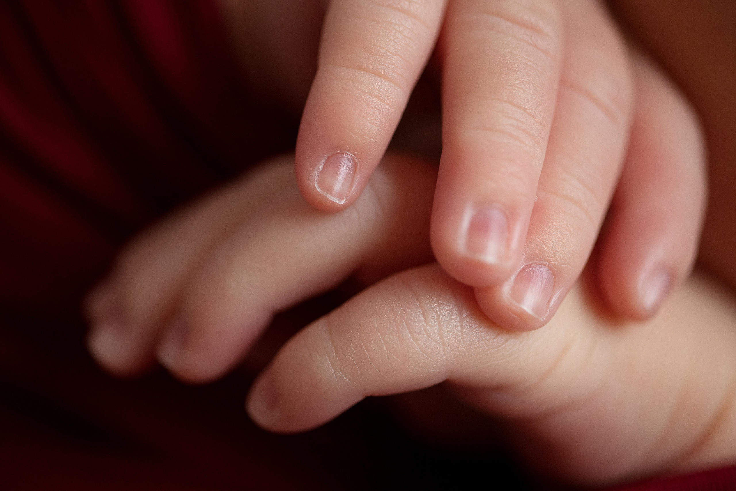 Данил. Фотограф беременности, ньюборн и годовасиков в Корее Жанна Хан