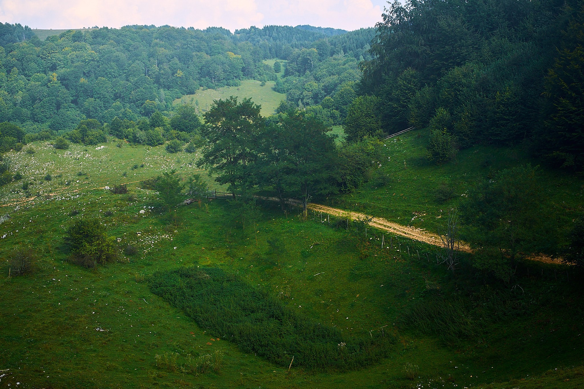 Fundătura Ponorului, jud. Humedoara. Pagina principală