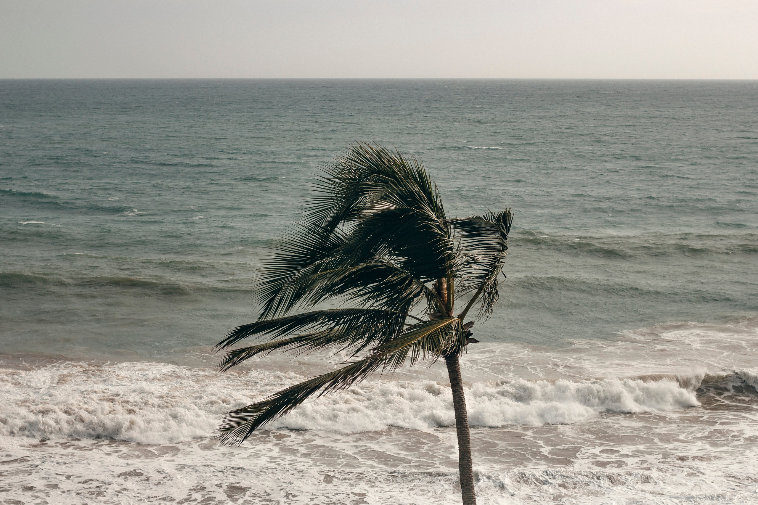 Sri Lanka. Art Photographer